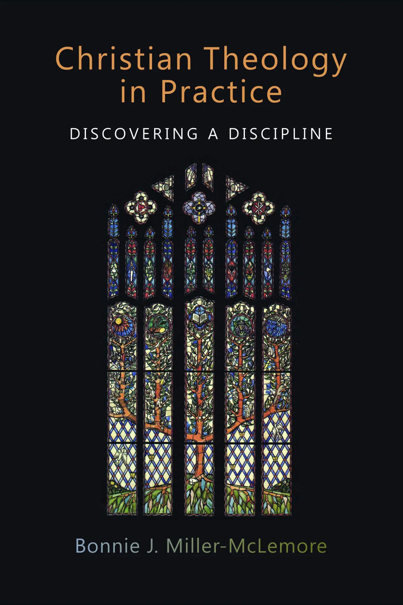 Cover: 9780802865342 | Christian Theology in Practice | Discovering a Discipline | Buch