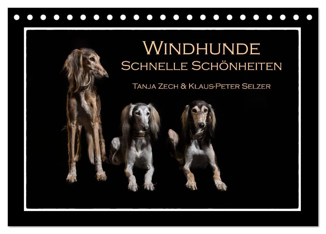 Cover: 9783457745342 | Windhunde - Schnelle Schönheiten (Tischkalender 2026 DIN A5 quer),...