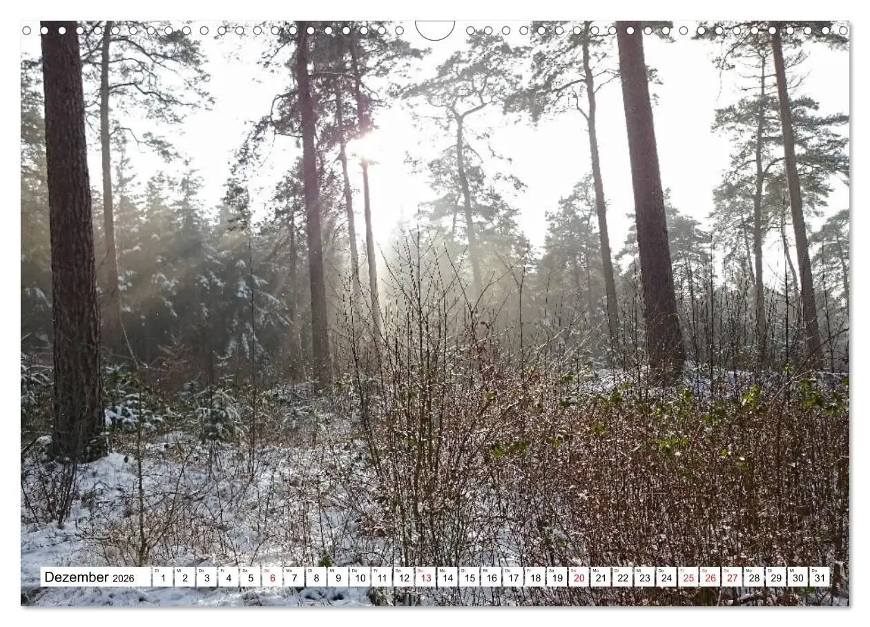 Bild: 9783516145342 | LINGEN an der Ems (Wandkalender 2026 DIN A3 quer), CALVENDO...