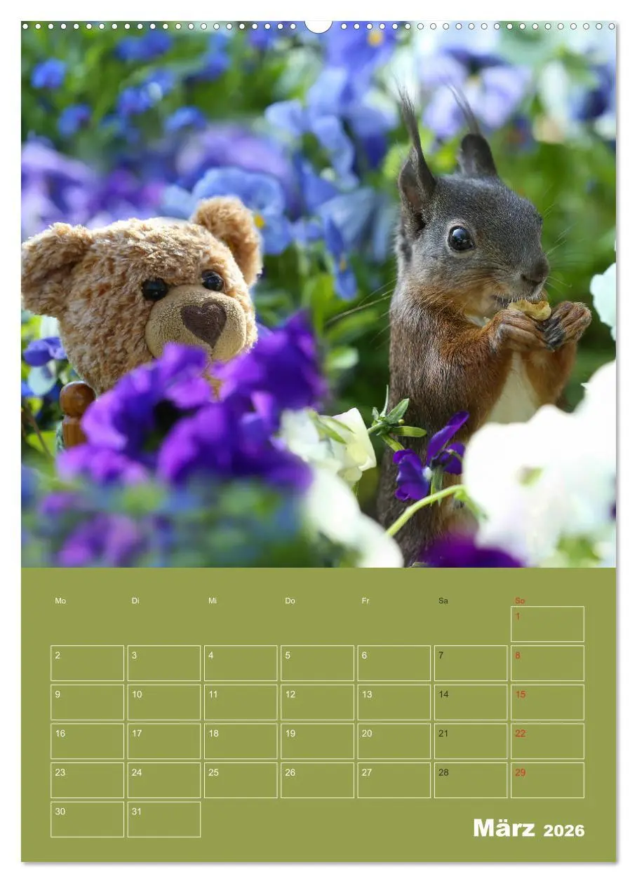 Bild: 9783516385342 | Eichhörnchen - Abenteuer mit Freund Teddy (Wandkalender 2026 DIN A2...