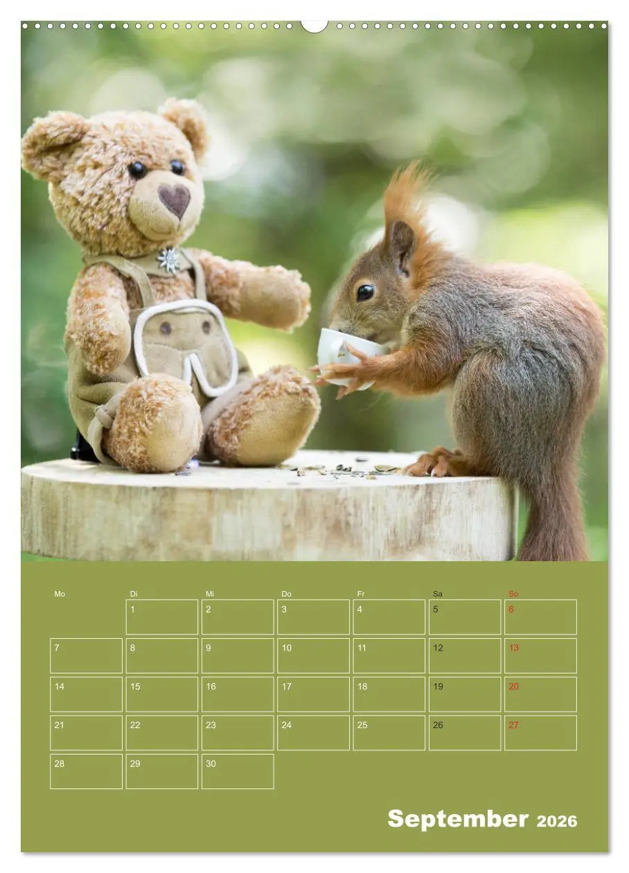 Bild: 9783516385342 | Eichhörnchen - Abenteuer mit Freund Teddy (Wandkalender 2026 DIN A2...