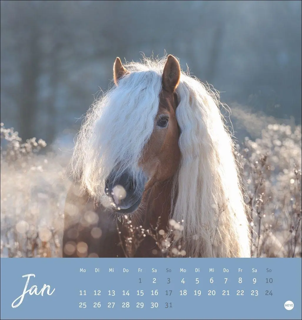Bild: 9783756415342 | Pferde Postkartenkalender 2027 - Starke Freunde | Sabine Stuewer