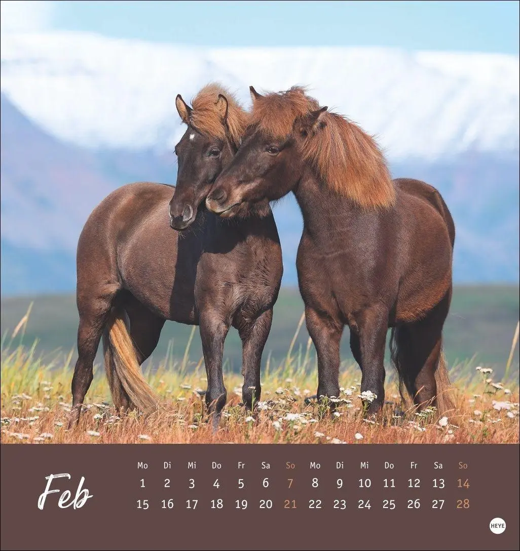 Bild: 9783756415342 | Pferde Postkartenkalender 2027 - Starke Freunde | Sabine Stuewer
