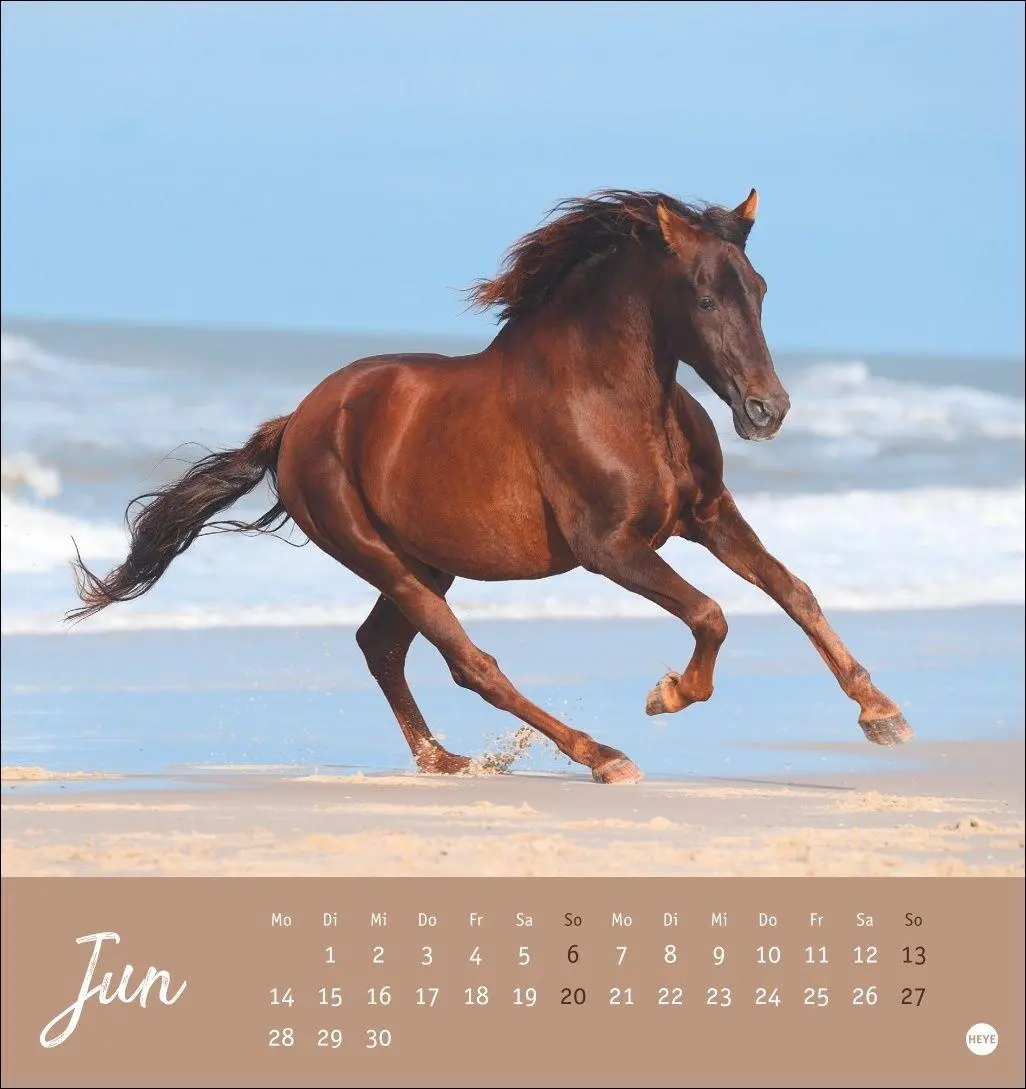Bild: 9783756415342 | Pferde Postkartenkalender 2027 - Starke Freunde | Sabine Stuewer