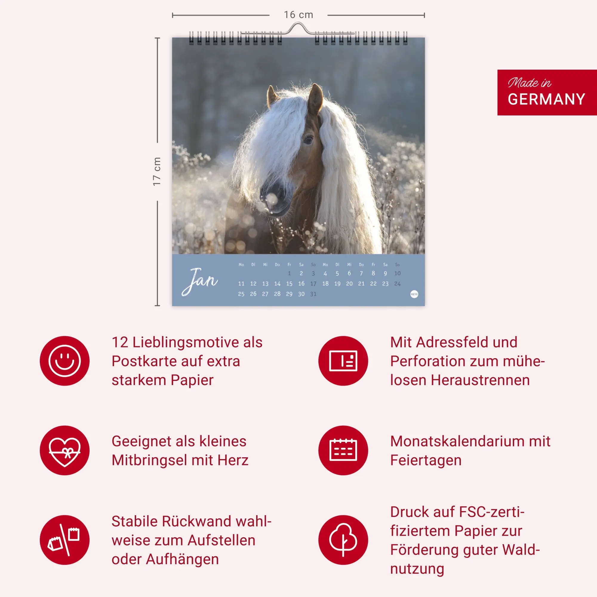 Bild: 9783756415342 | Pferde Postkartenkalender 2027 - Starke Freunde | Sabine Stuewer