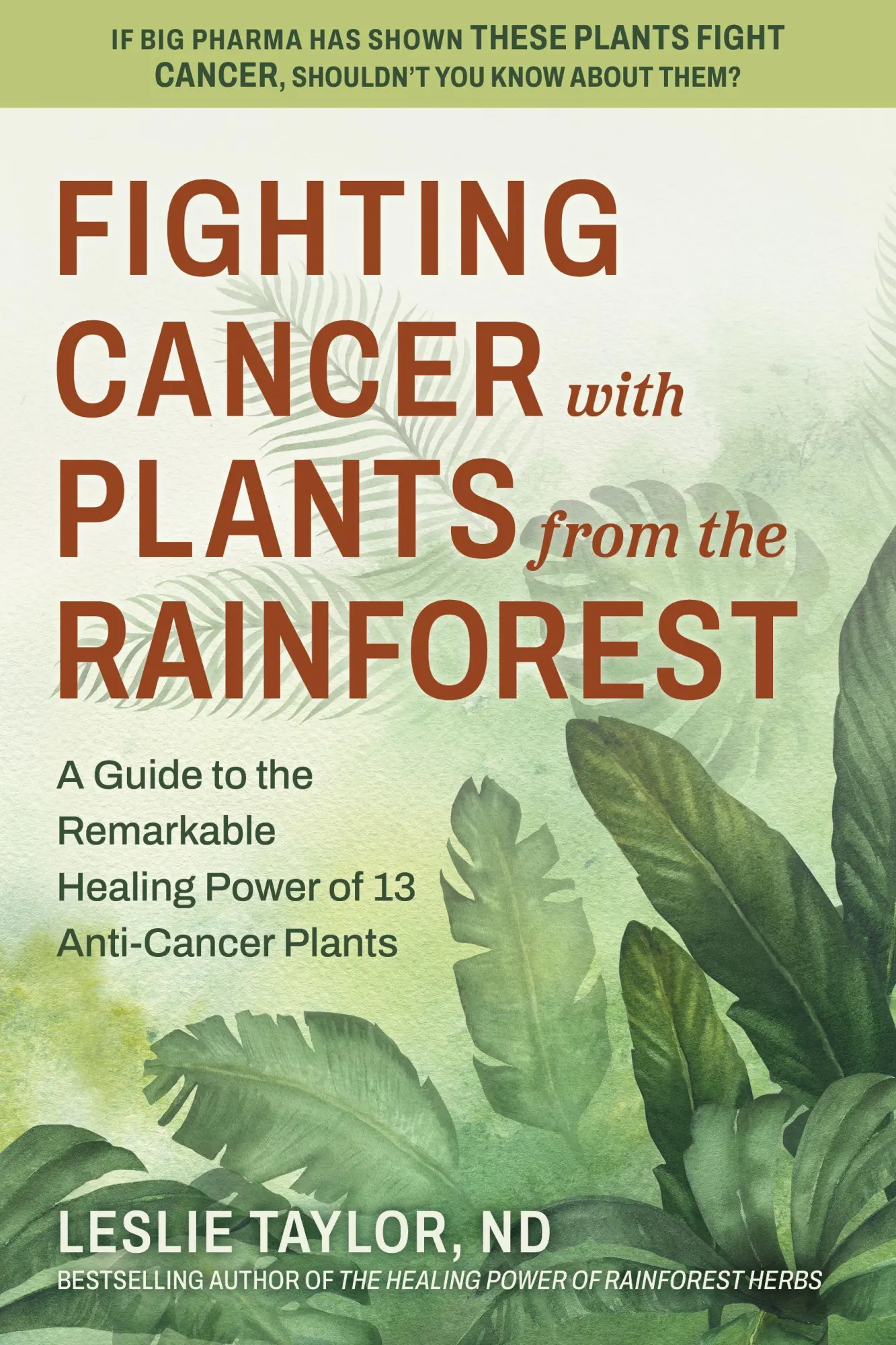 Cover: 9780757005442 | Fighting Cancer with Plants from the Rainforest | Leslie Taylor | Buch