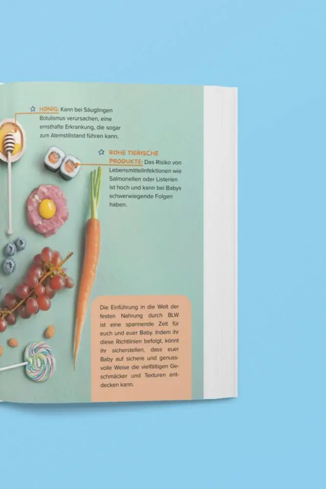 Bild: 9783910385542 | Baby Led Weaning für die ganze Familie - Gemeinsam schnell &amp;...