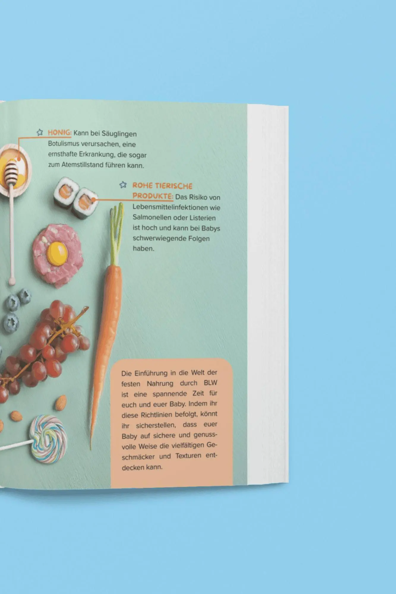 Bild: 9783910385542 | Baby Led Weaning für die ganze Familie - Gemeinsam schnell &amp;...