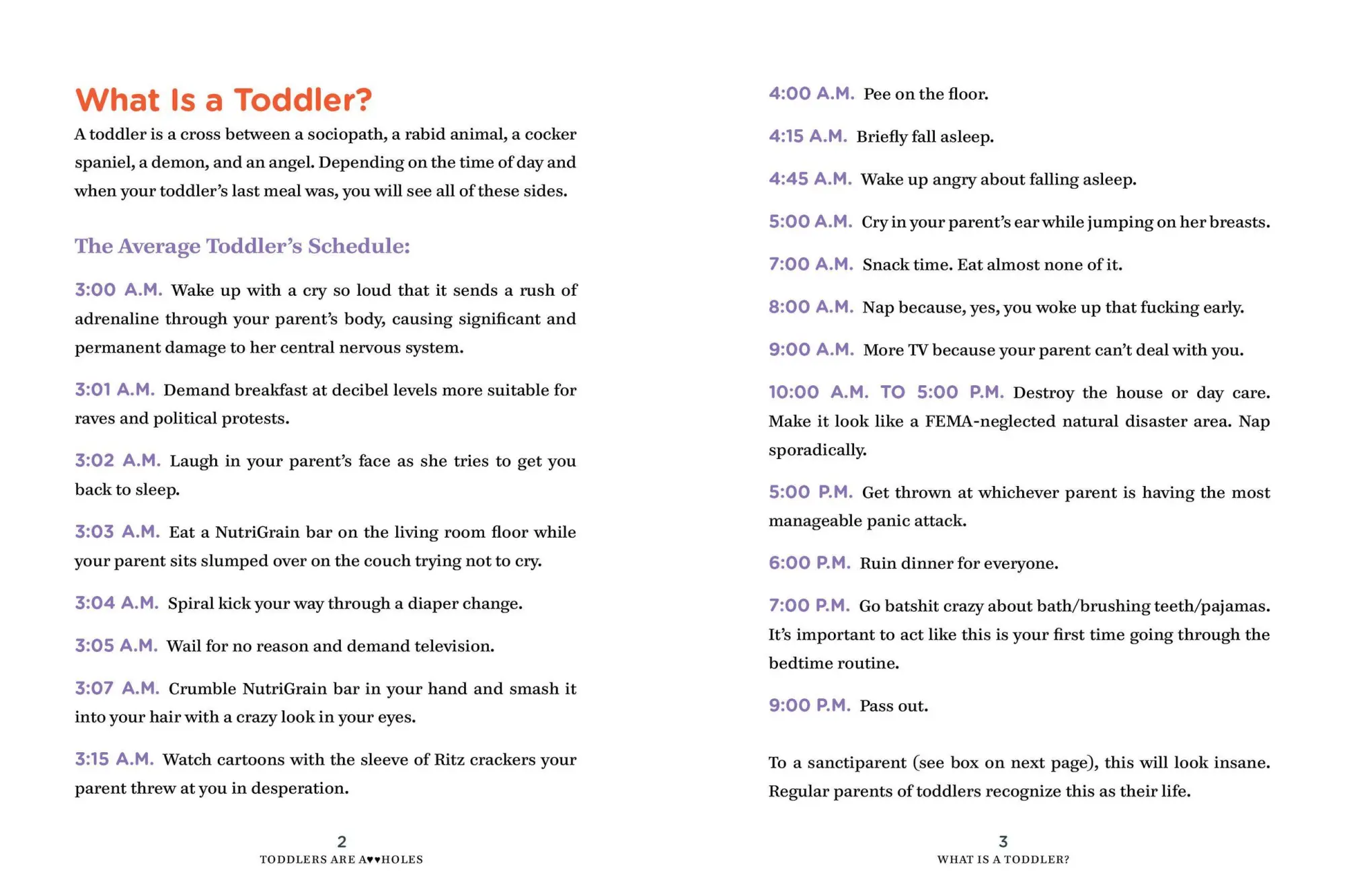 Bild: 9780761185642 | Toddlers Are A**holes | It's Not Your Fault | Bunmi Laditan | Buch