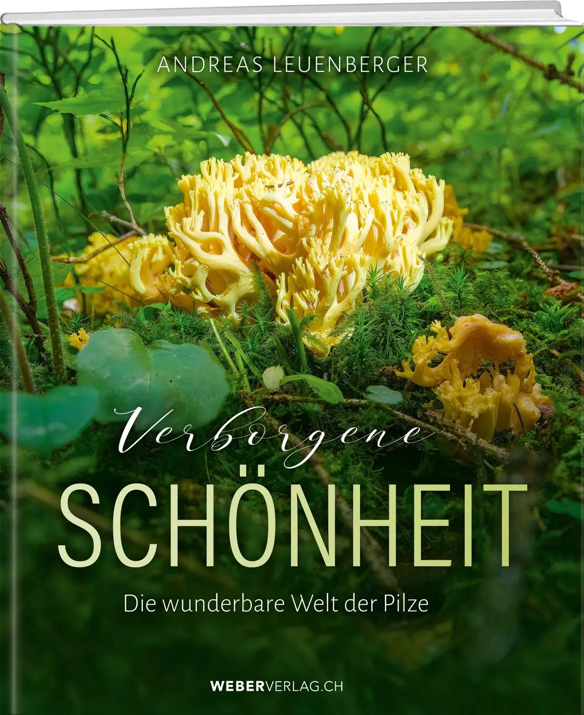 Cover: 9783038185642 | Verborgene Schönheit | Die wunderbare Welt der Pilze | Leuenberger