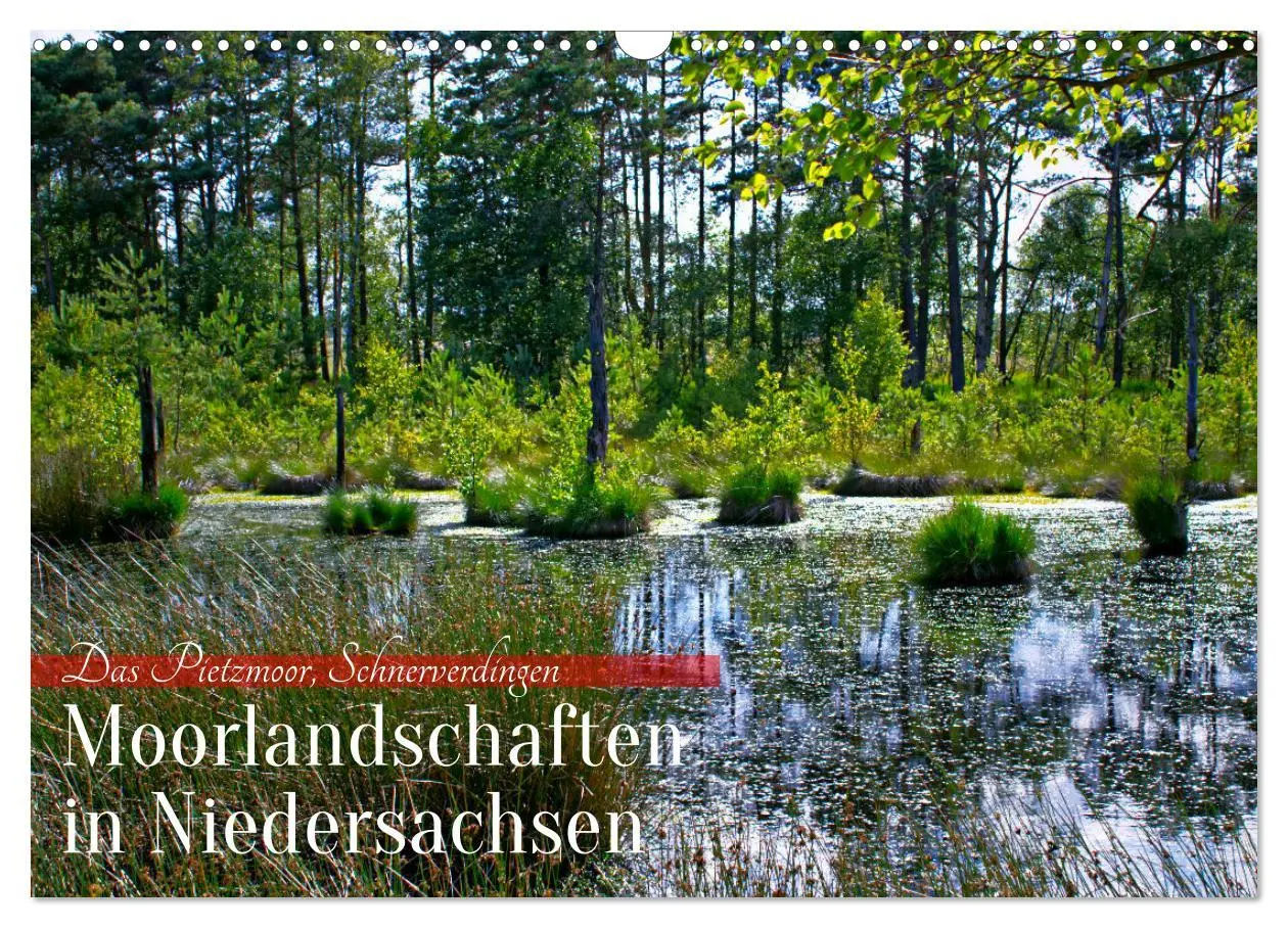 Cover: 9783457575642 | Niedersachsens Moorlandschaften - Das Pietzmoor, Schneverdingen...