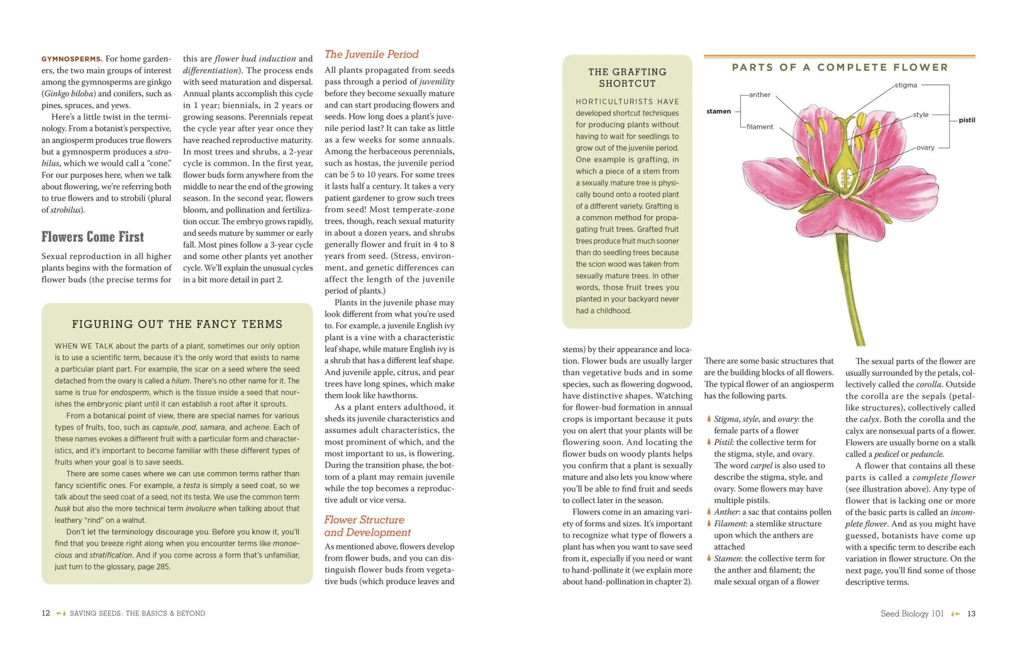 Bild: 9781603425742 | The Complete Guide to Saving Seeds | Robert E Gough (u. a.) | Buch
