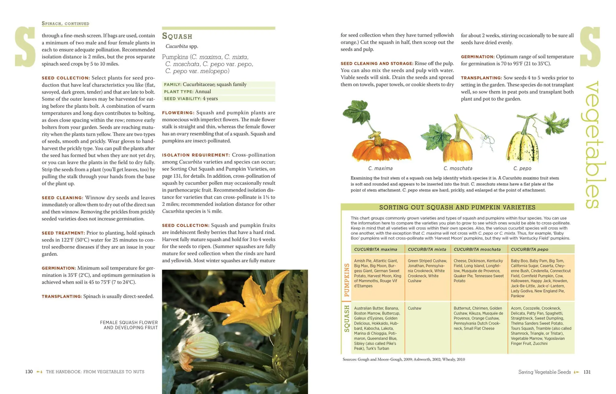 Bild: 9781603425742 | The Complete Guide to Saving Seeds | Robert E Gough (u. a.) | Buch