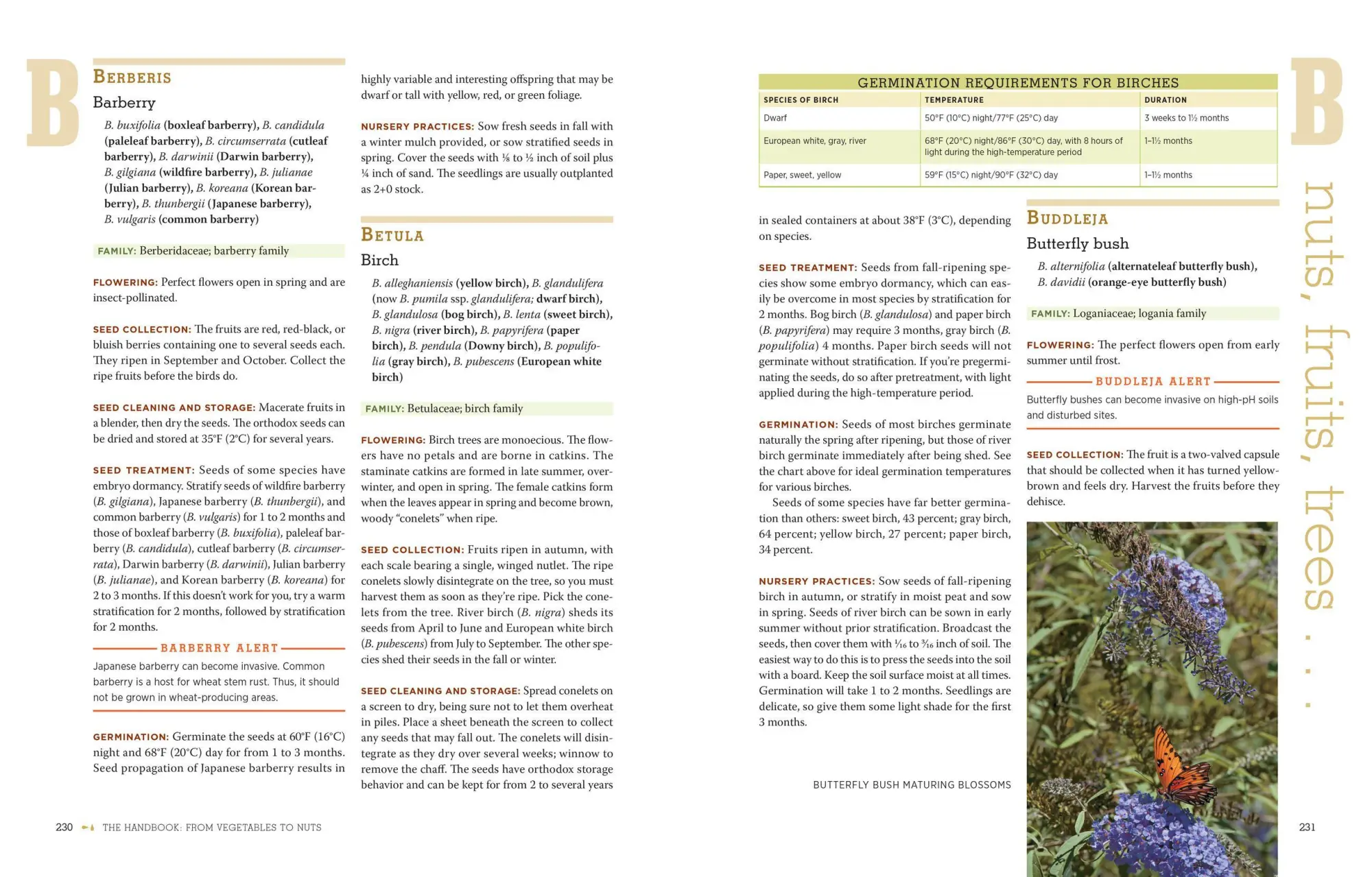 Bild: 9781603425742 | The Complete Guide to Saving Seeds | Robert E Gough (u. a.) | Buch