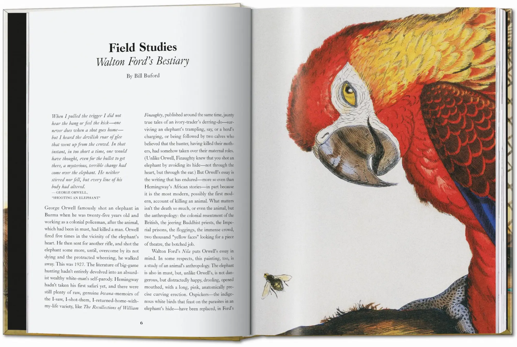 Bild: 9783836595742 | Walton Ford. 40th Ed. | Bill Buford | Buch | 512 S. | Deutsch | 2024