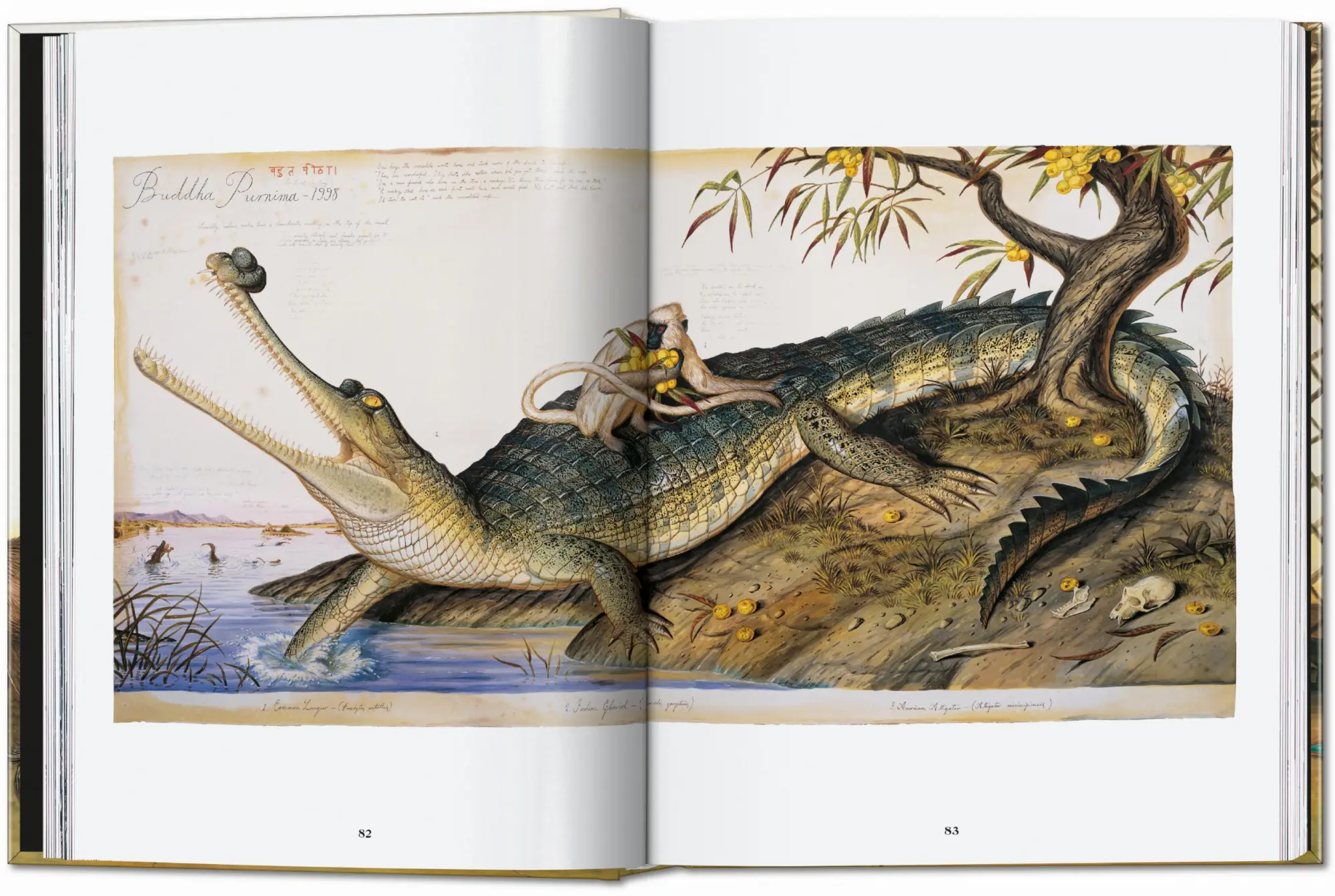 Bild: 9783836595742 | Walton Ford. 40th Ed. | Bill Buford | Buch | 512 S. | Deutsch | 2024