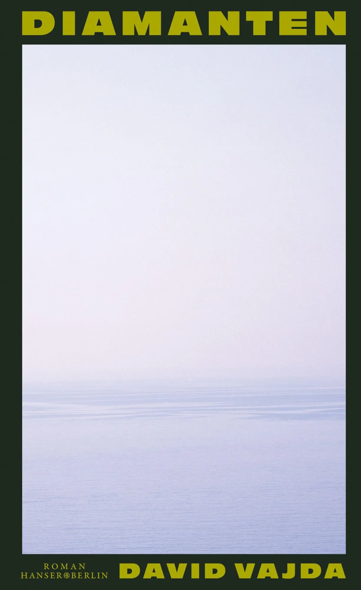 Cover: 9783446285842 | Diamanten | Roman | David Vajda | Buch | 176 S. | Deutsch | 2026