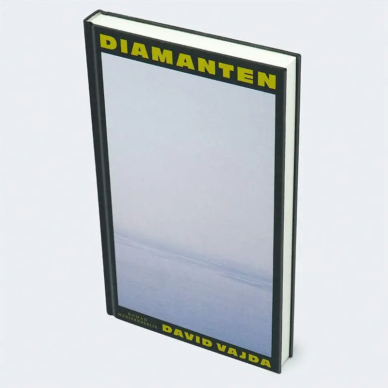 Bild: 9783446285842 | Diamanten | Roman | David Vajda | Buch | 176 S. | Deutsch | 2026