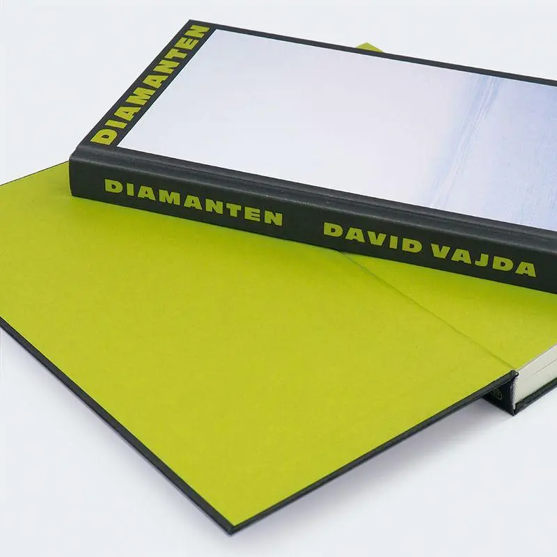 Bild: 9783446285842 | Diamanten | Roman | David Vajda | Buch | 176 S. | Deutsch | 2026