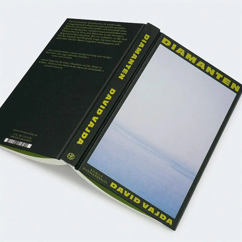 Bild: 9783446285842 | Diamanten | Roman | David Vajda | Buch | 176 S. | Deutsch | 2026