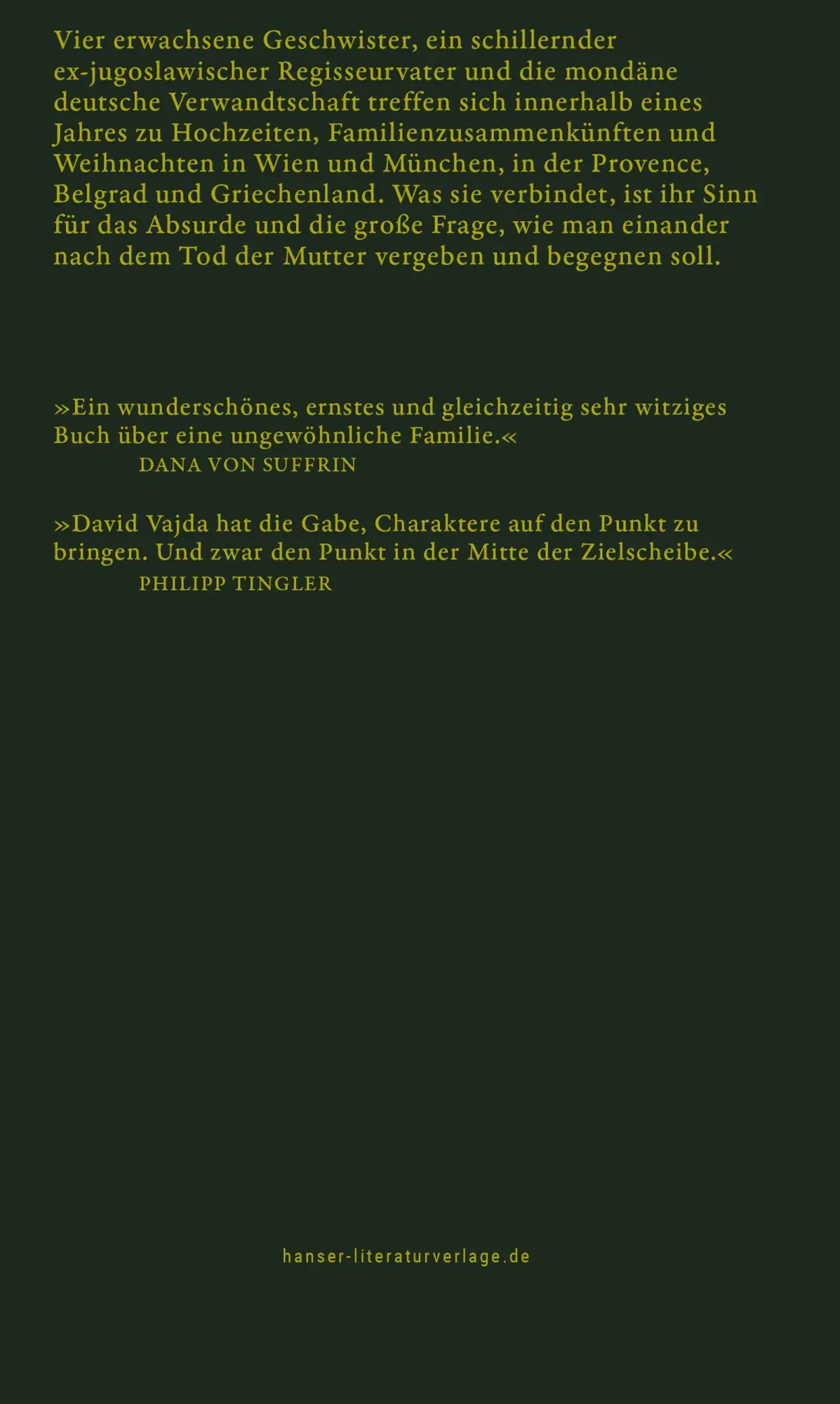 Bild: 9783446285842 | Diamanten | Roman | David Vajda | Buch | 176 S. | Deutsch | 2026