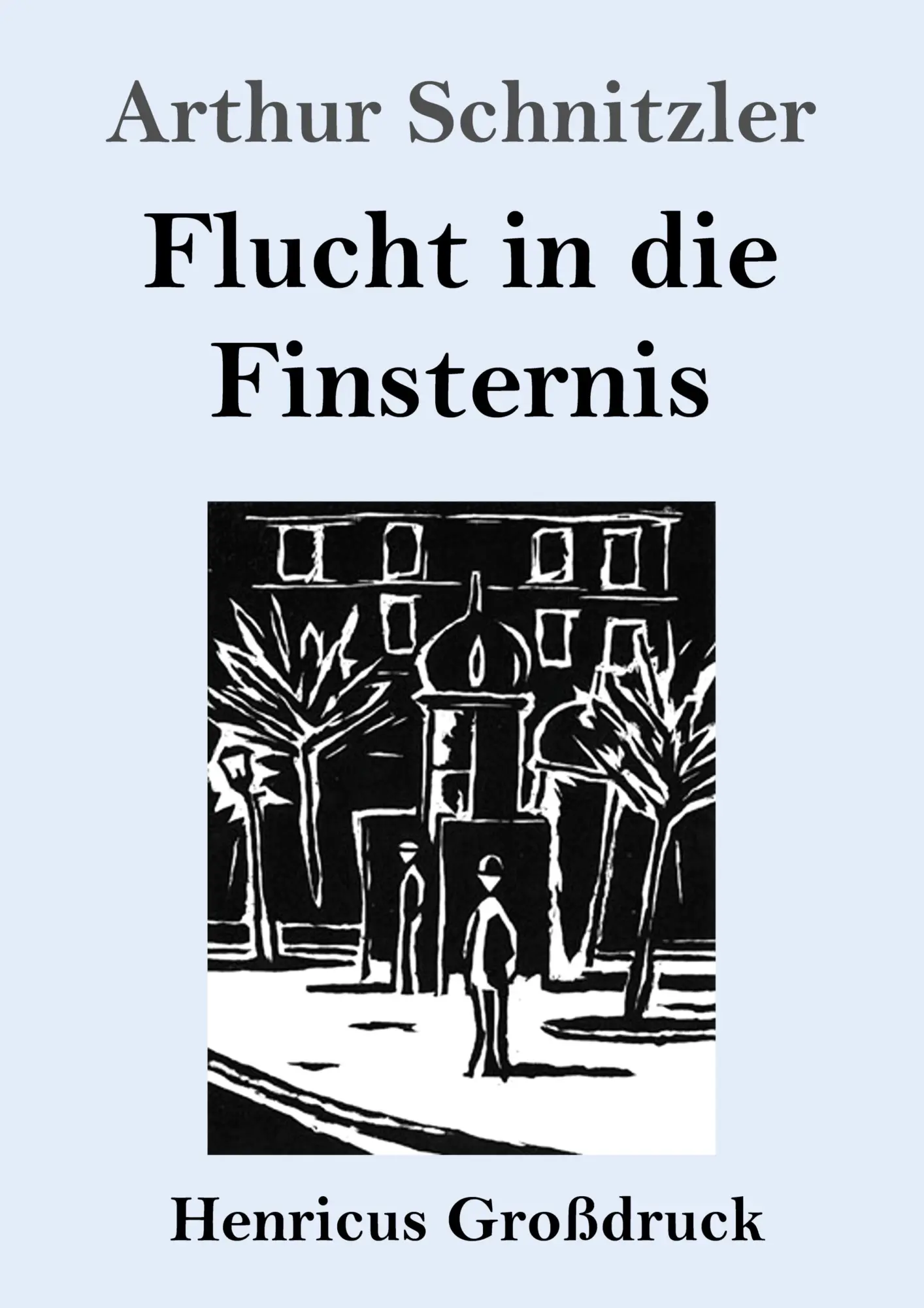 Cover: 9783847855842 | Flucht in die Finsternis (Großdruck) | Arthur Schnitzler | Taschenbuch