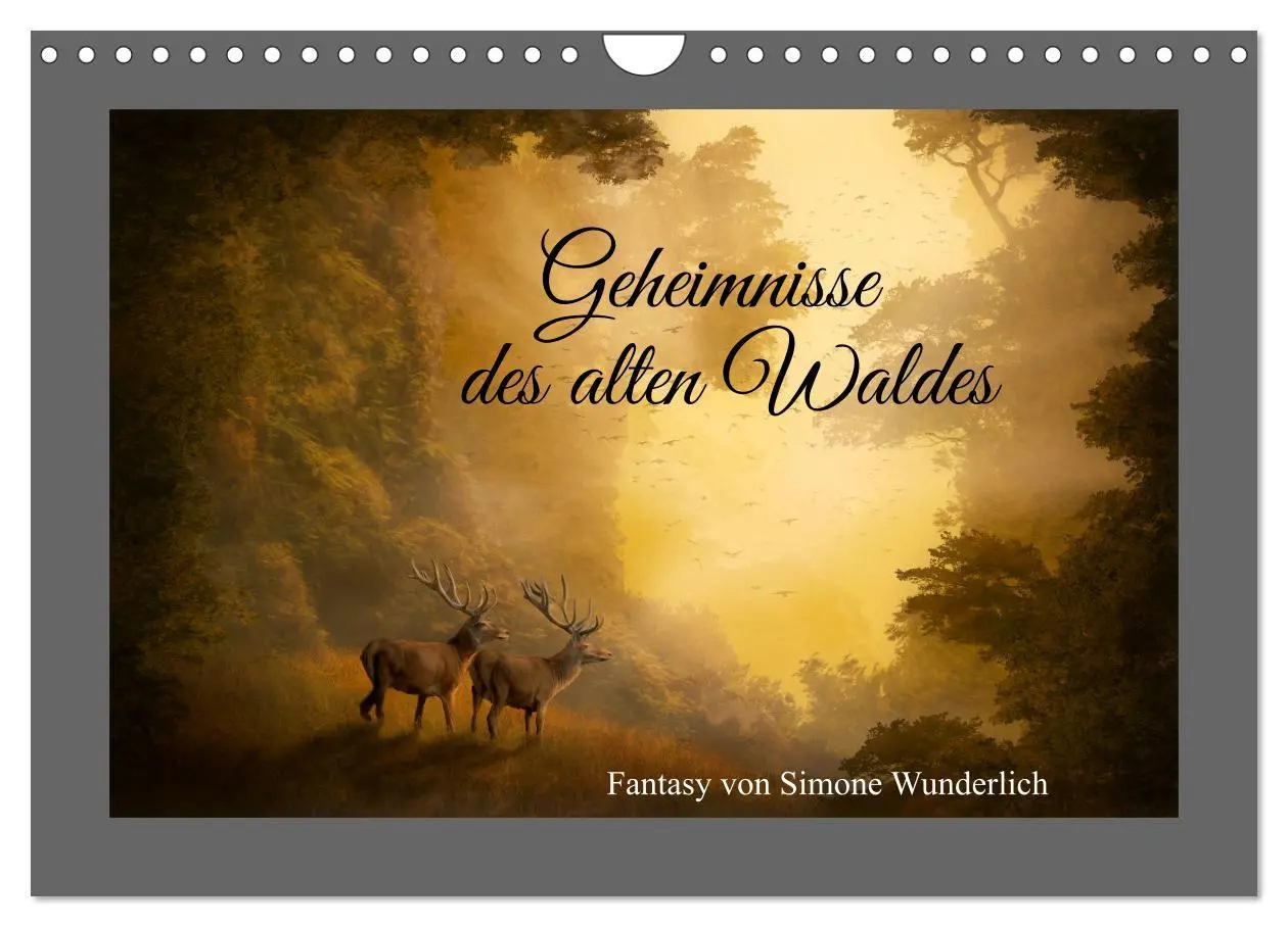 Cover: 9783457545942 | Geheimnisse des alten Waldes (Wandkalender 2026 DIN A4 quer),...