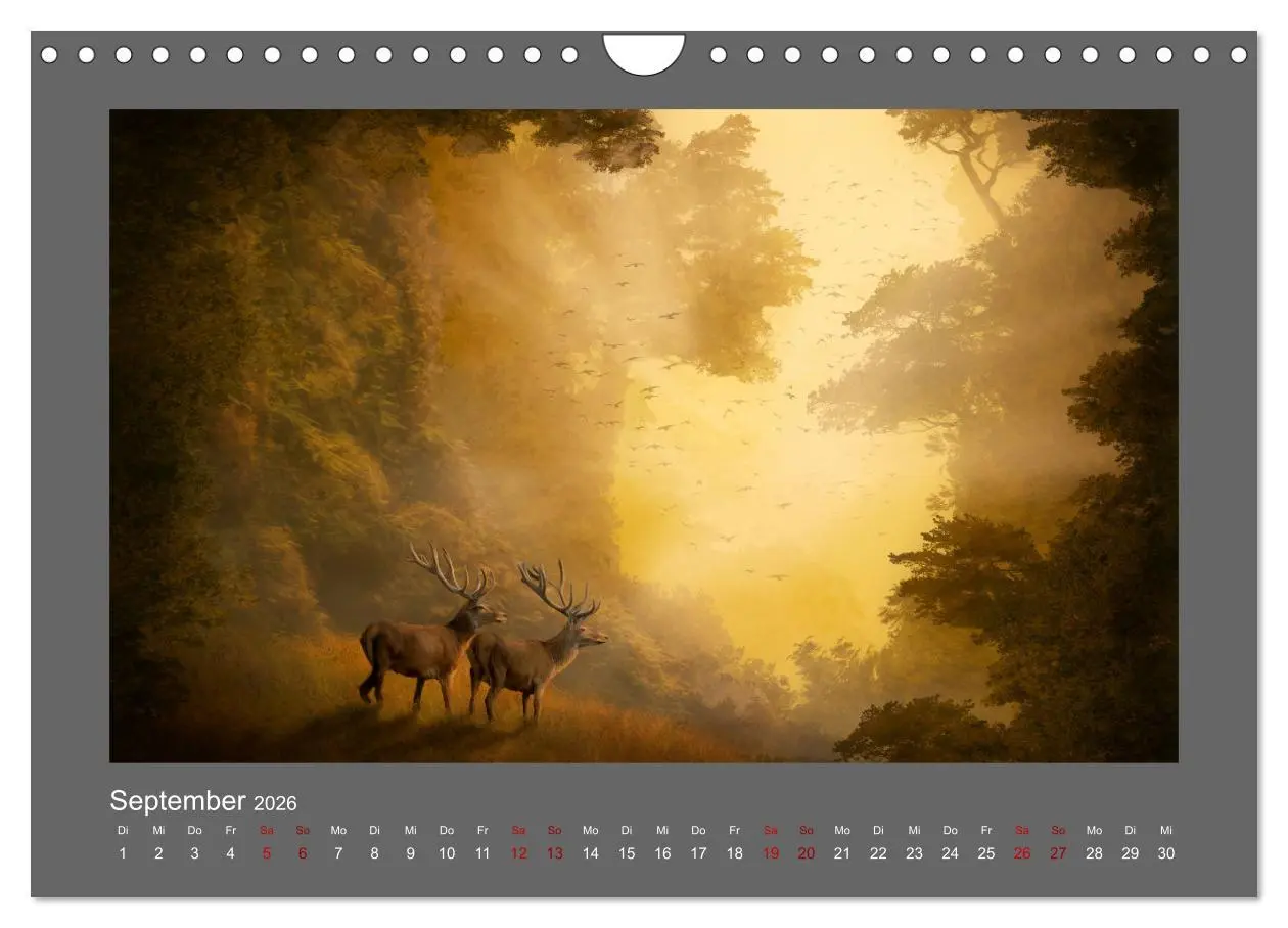 Bild: 9783457545942 | Geheimnisse des alten Waldes (Wandkalender 2026 DIN A4 quer),...