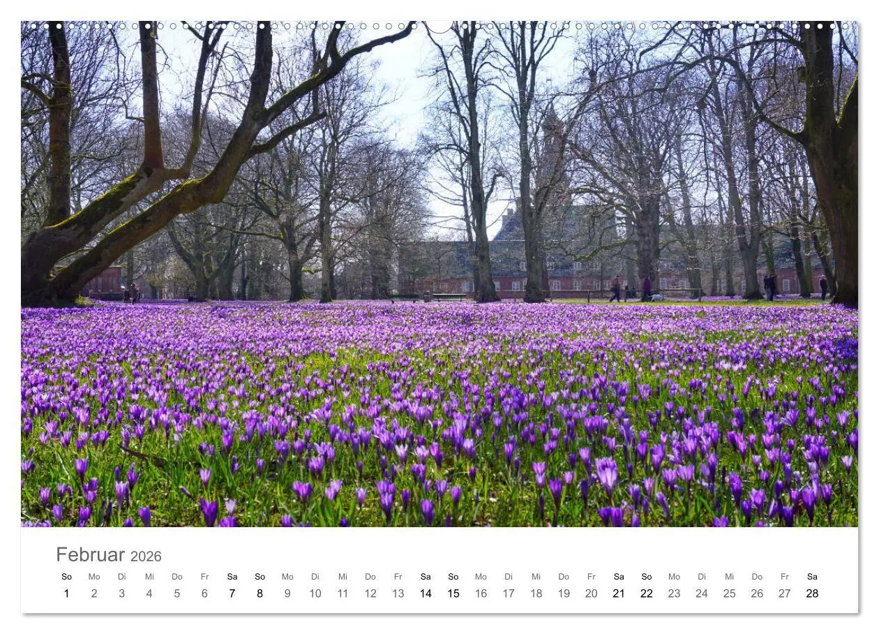 Bild: 9783457785942 | Nordfriesland (Wandkalender 2026 DIN A2 quer), CALVENDO Monatskalender