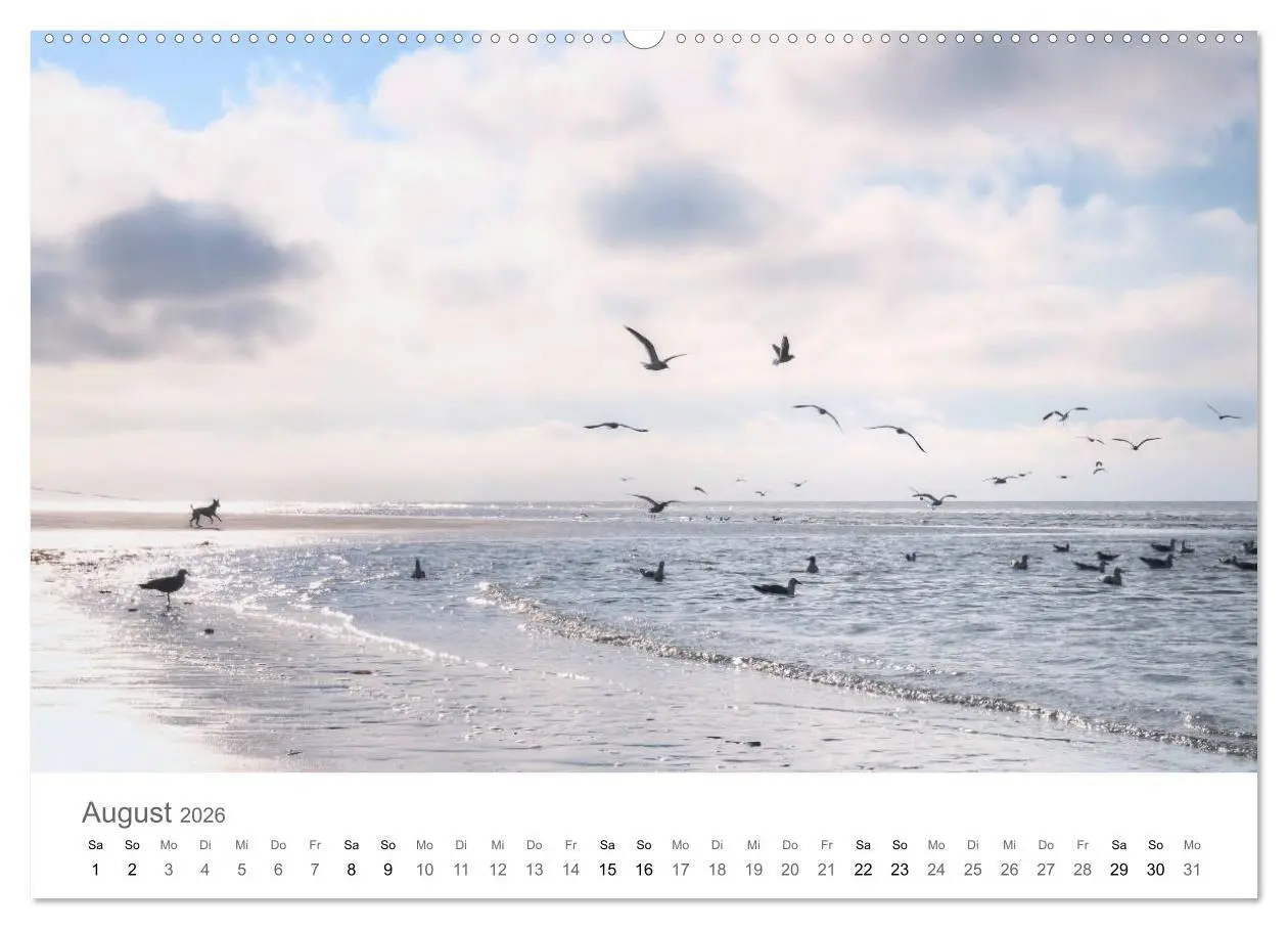 Bild: 9783457785942 | Nordfriesland (Wandkalender 2026 DIN A2 quer), CALVENDO Monatskalender