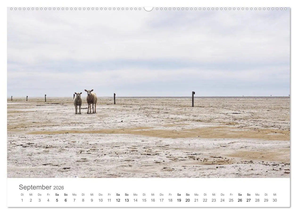 Bild: 9783457785942 | Nordfriesland (Wandkalender 2026 DIN A2 quer), CALVENDO Monatskalender
