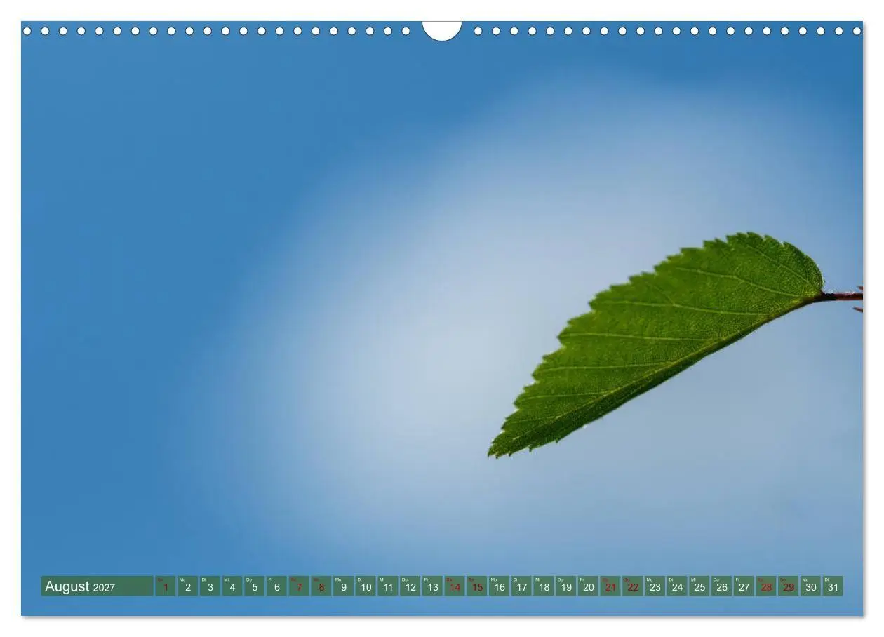 Bild: 9783569786042 | Bonsai ganz nah (Wandkalender 2027 DIN A3 quer), CALVENDO...