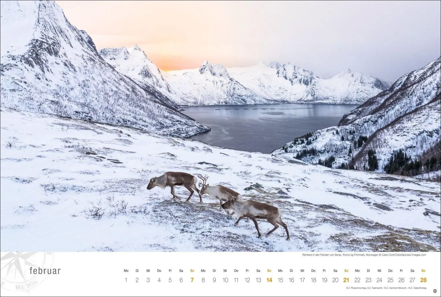 Bild: 9783756416042 | Hurtigruten Globetrotter Kalender 2027 - Von unberührten Fjorden...