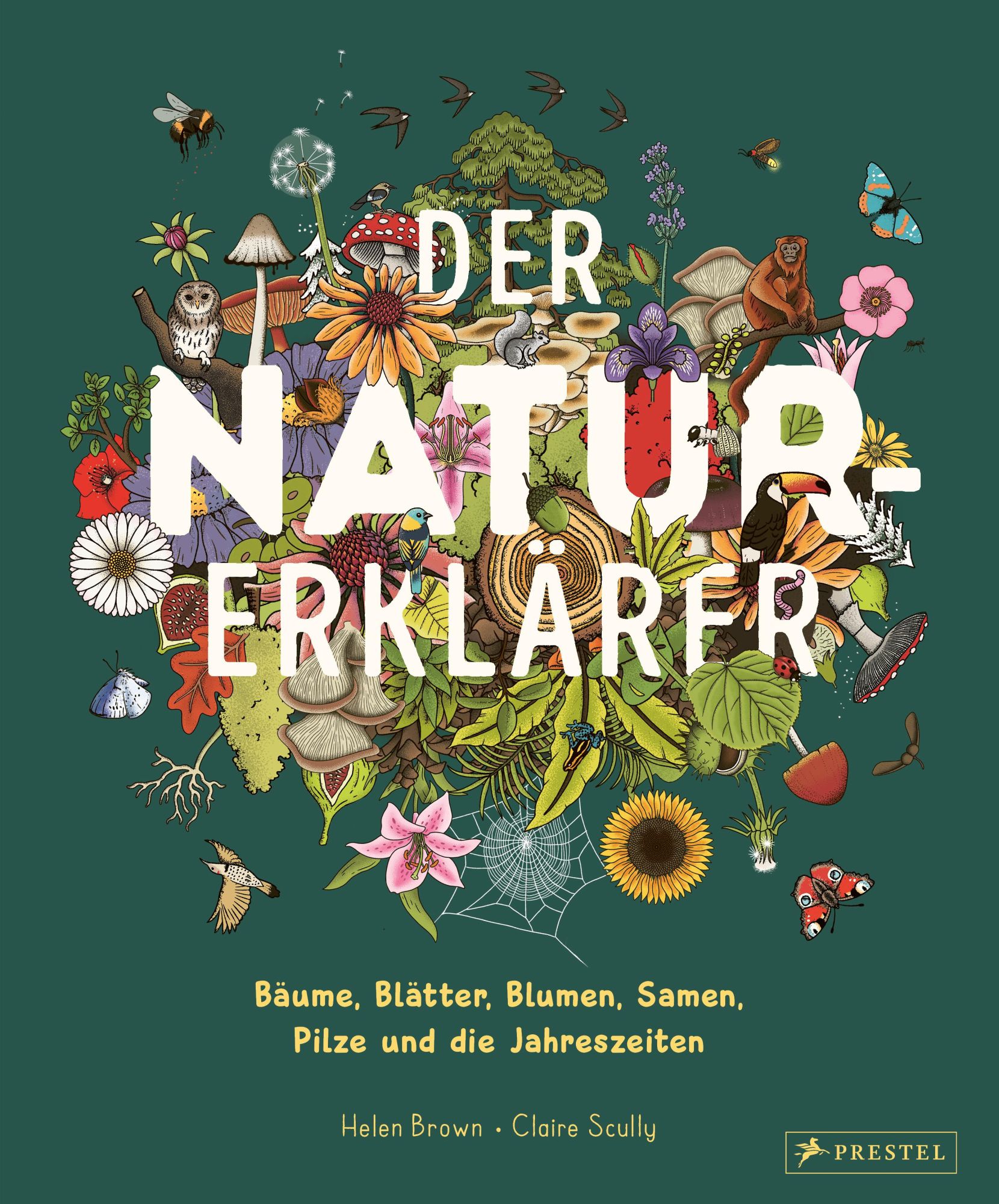 Cover: 9783791376042 | Der Natur-Erklärer | Helen Brown (u. a.) | Buch | 64 S. | Deutsch