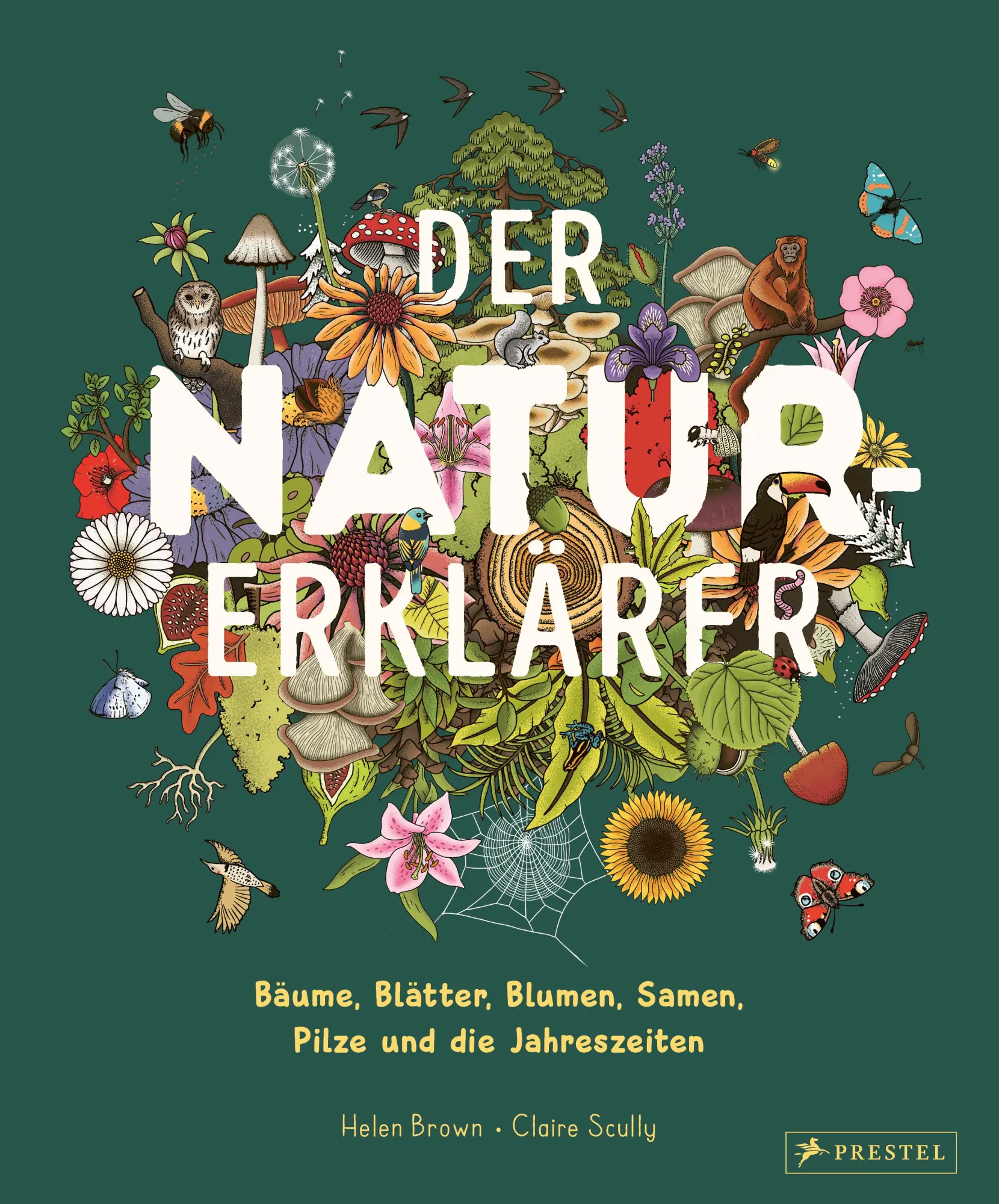 Cover: 9783791376042 | Der Natur-Erklärer | Helen Brown (u. a.) | Buch | 64 S. | Deutsch