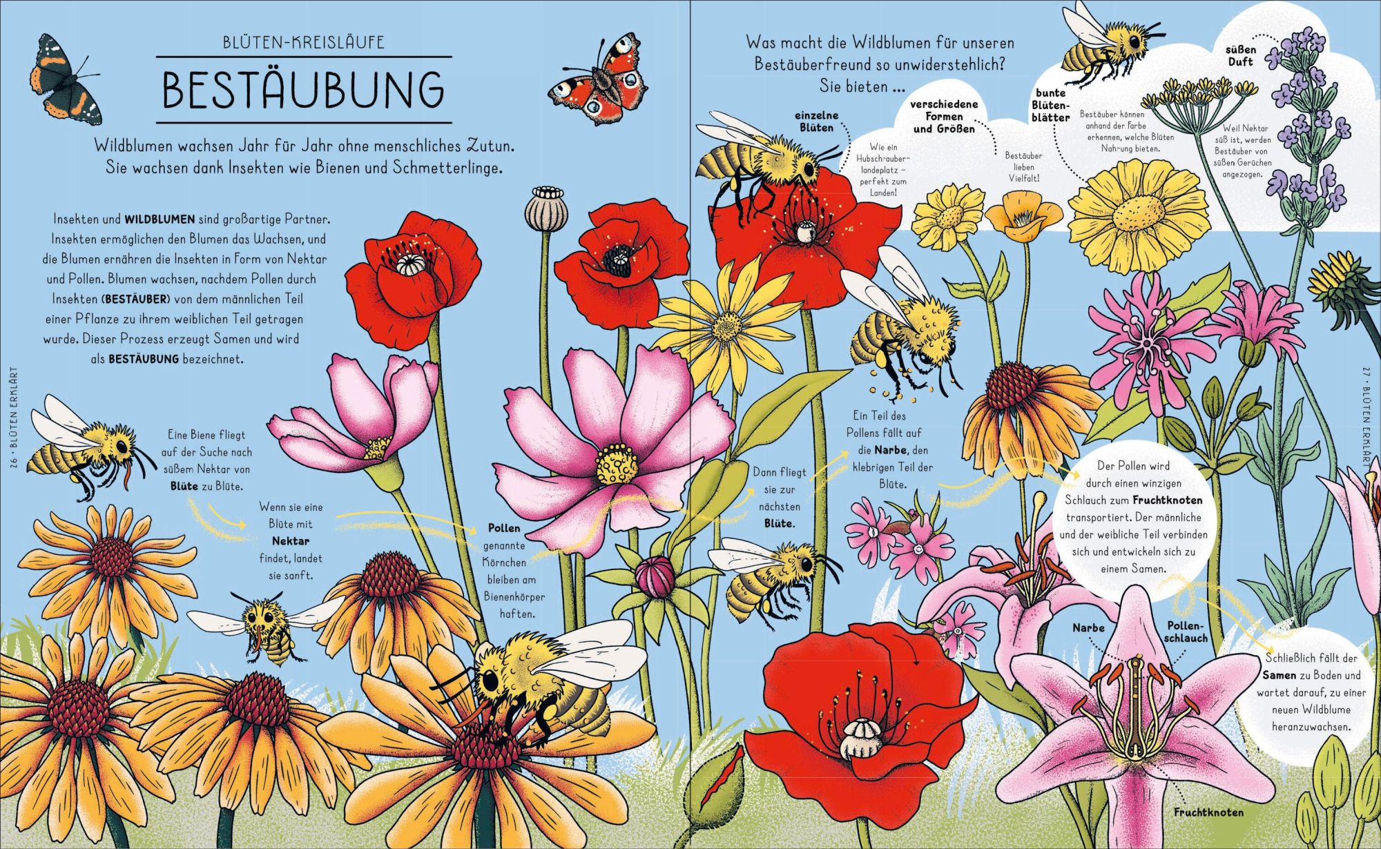 Bild: 9783791376042 | Der Natur-Erklärer | Helen Brown (u. a.) | Buch | 64 S. | Deutsch