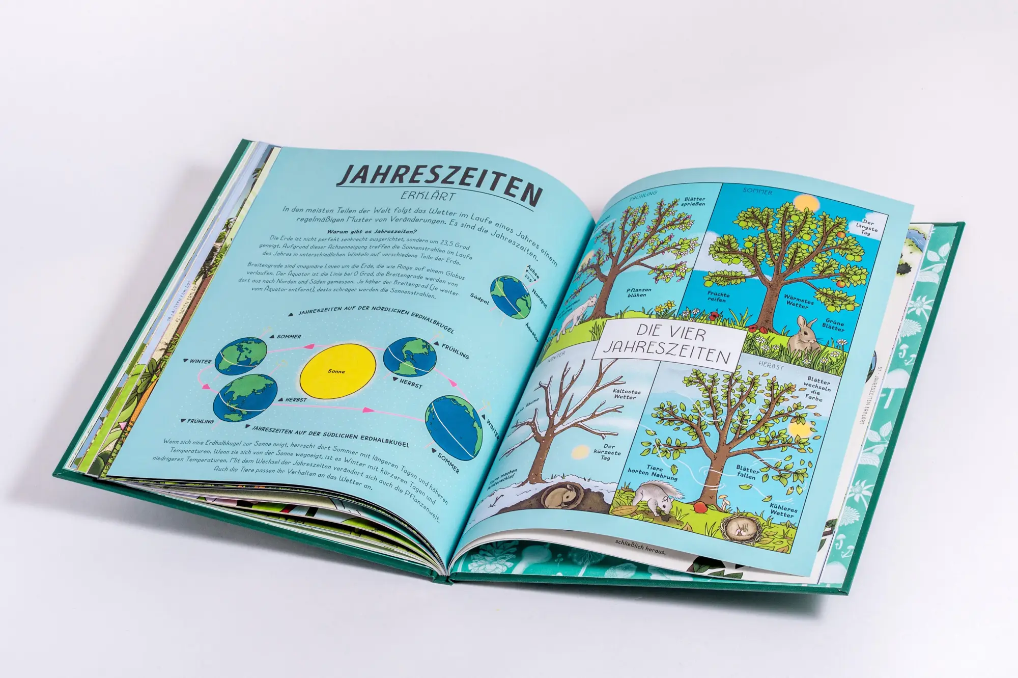 Bild: 9783791376042 | Der Natur-Erklärer | Helen Brown (u. a.) | Buch | 64 S. | Deutsch