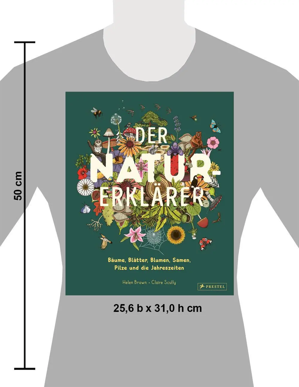 Bild: 9783791376042 | Der Natur-Erklärer | Helen Brown (u. a.) | Buch | 64 S. | Deutsch