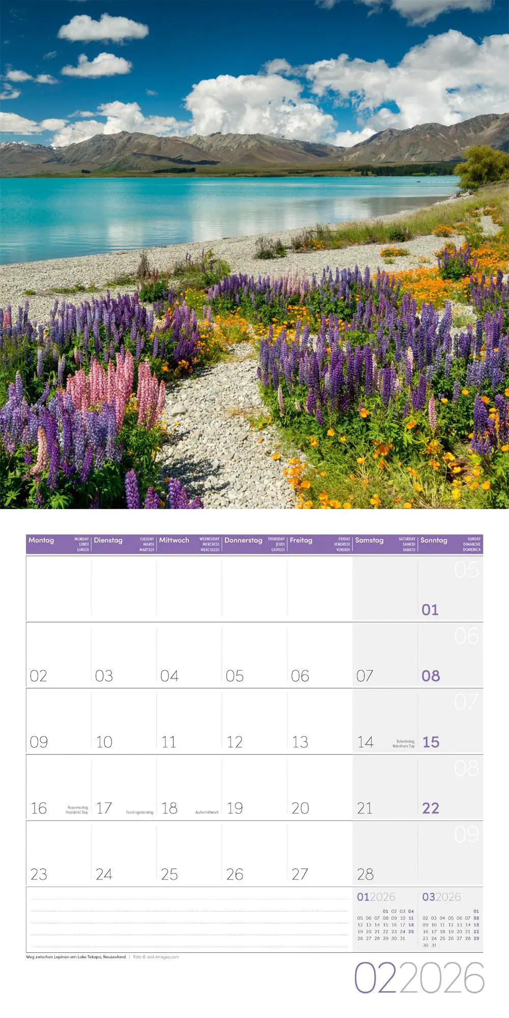 Bild: 9783838446042 | Traumpfade Kalender 2026 - 30x30 | Ackermann Kunstverlag GmbH | 28 S.