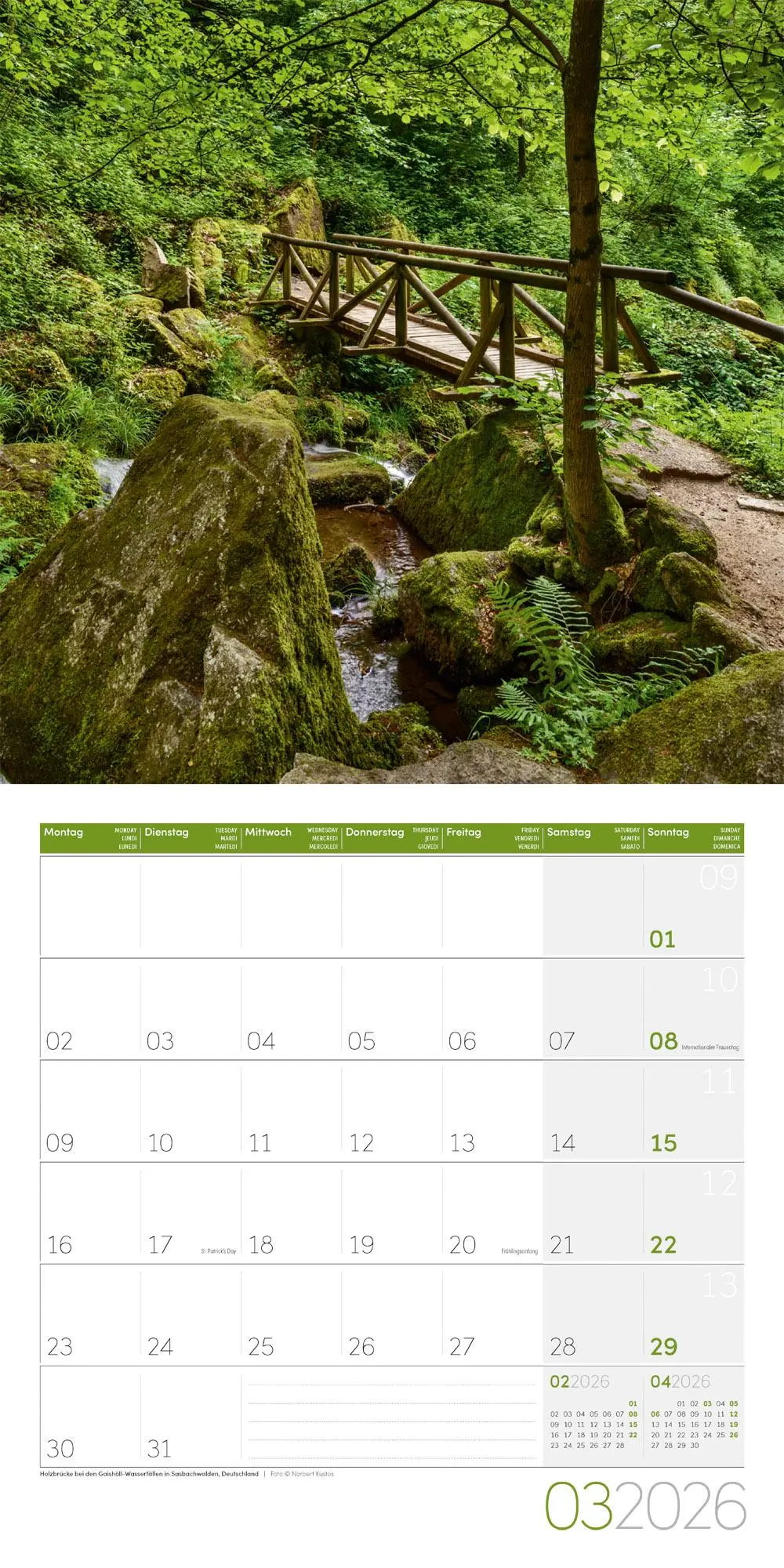 Bild: 9783838446042 | Traumpfade Kalender 2026 - 30x30 | Ackermann Kunstverlag GmbH | 28 S.