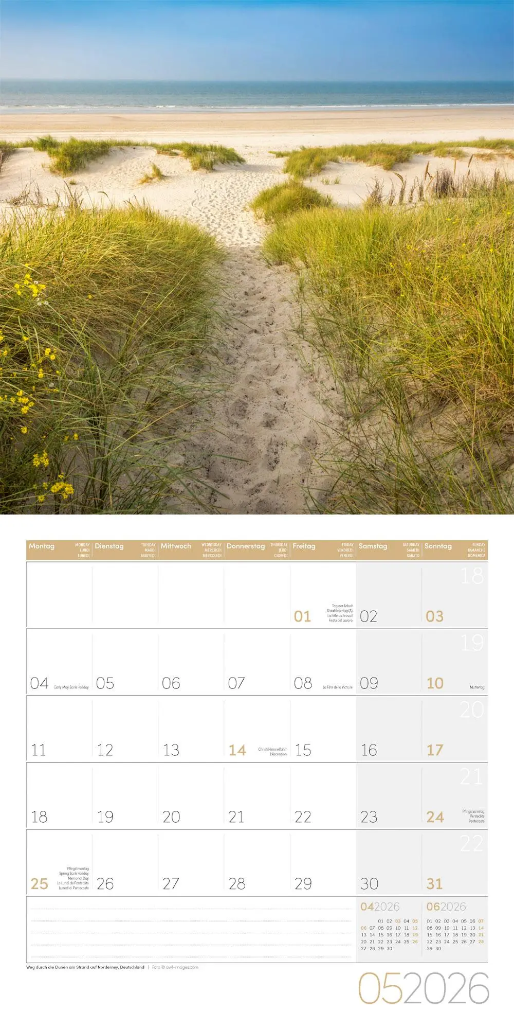 Bild: 9783838446042 | Traumpfade Kalender 2026 - 30x30 | Ackermann Kunstverlag GmbH | 28 S.