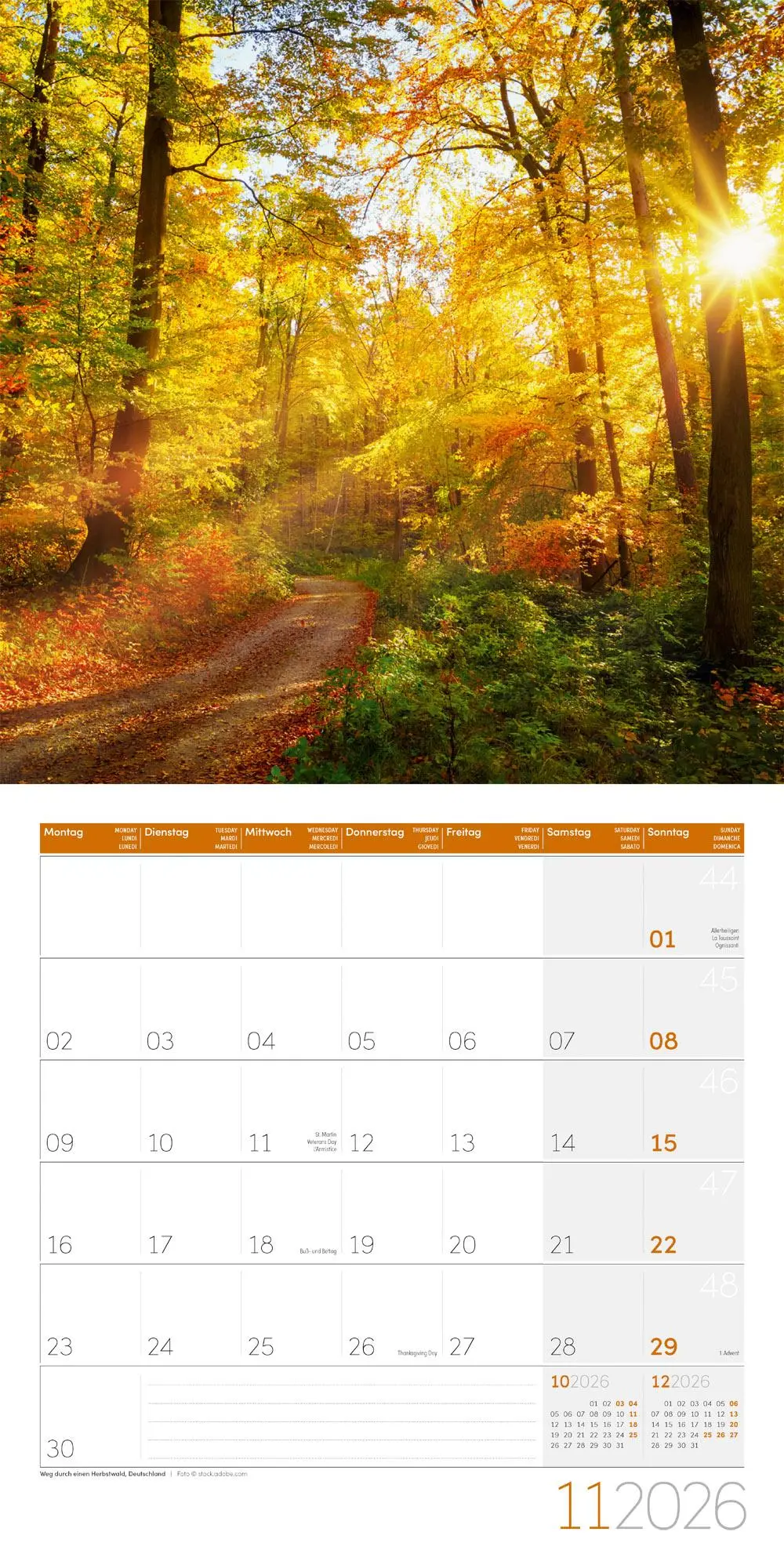 Bild: 9783838446042 | Traumpfade Kalender 2026 - 30x30 | Ackermann Kunstverlag GmbH | 28 S.