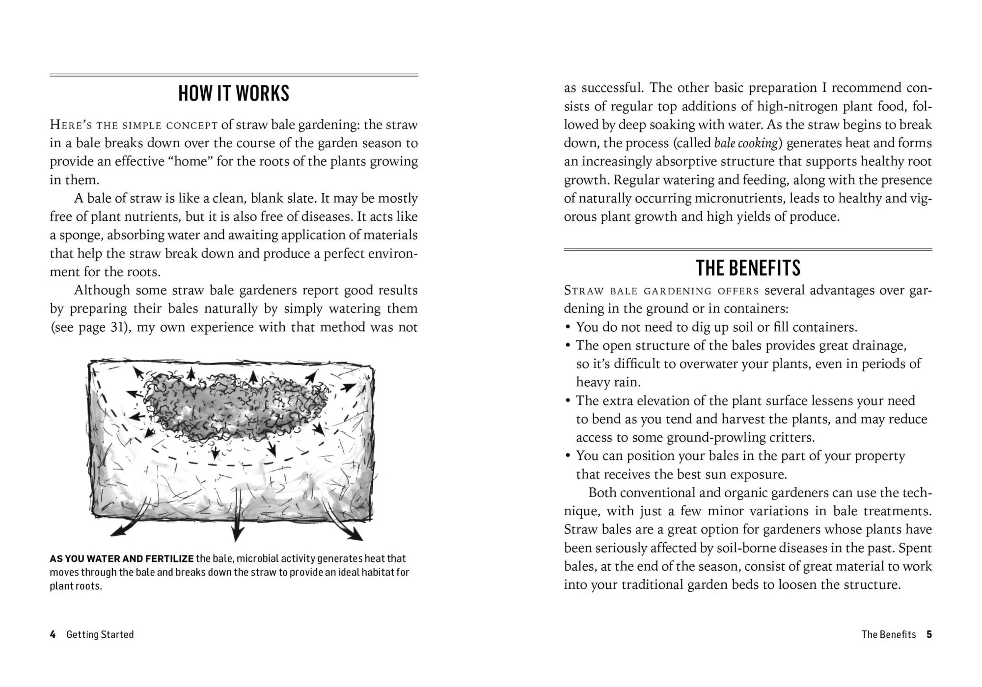 Bild: 9781612126142 | Growing Vegetables in Straw Bales | Craig Lehoullier | Taschenbuch