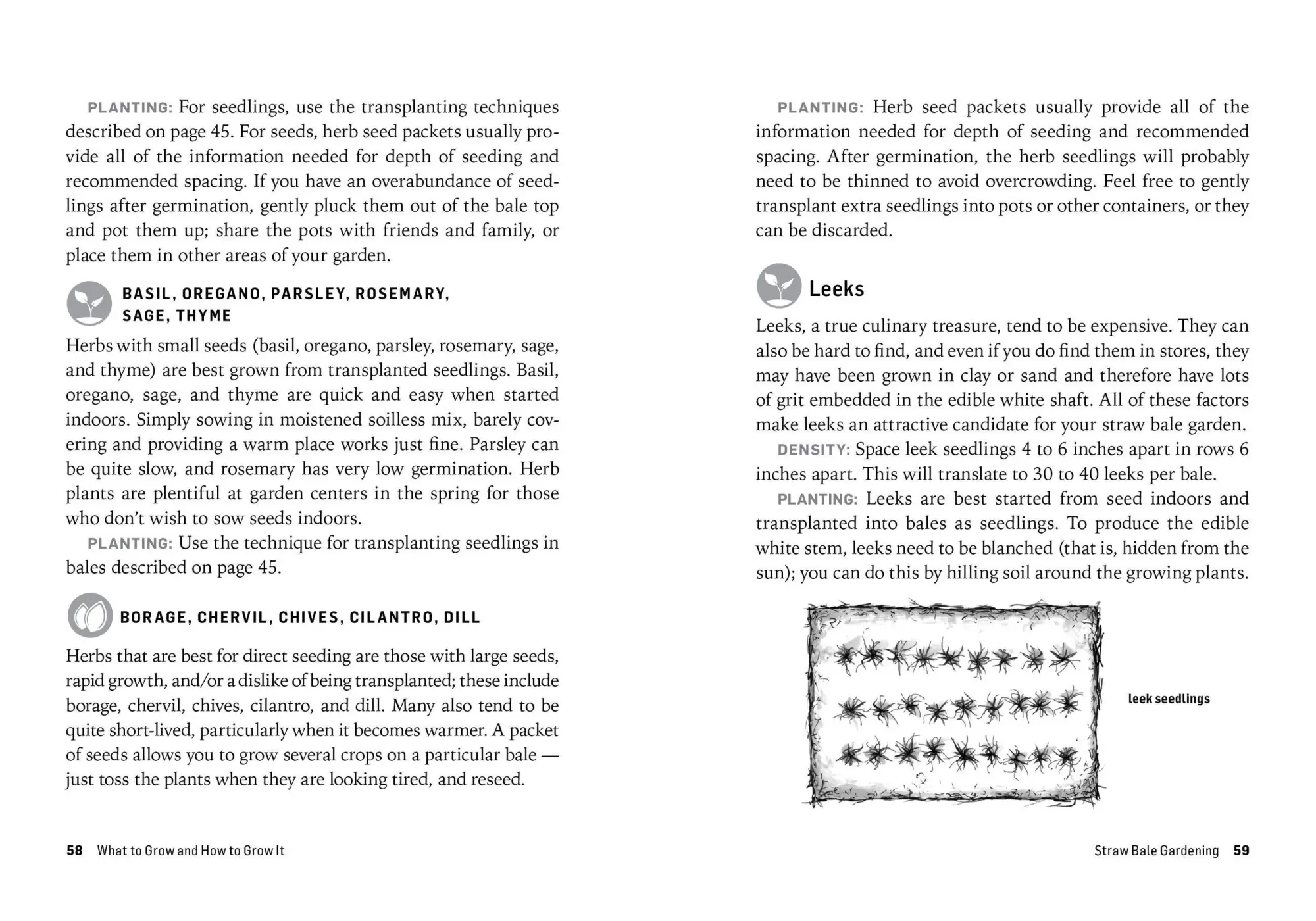 Bild: 9781612126142 | Growing Vegetables in Straw Bales | Craig Lehoullier | Taschenbuch