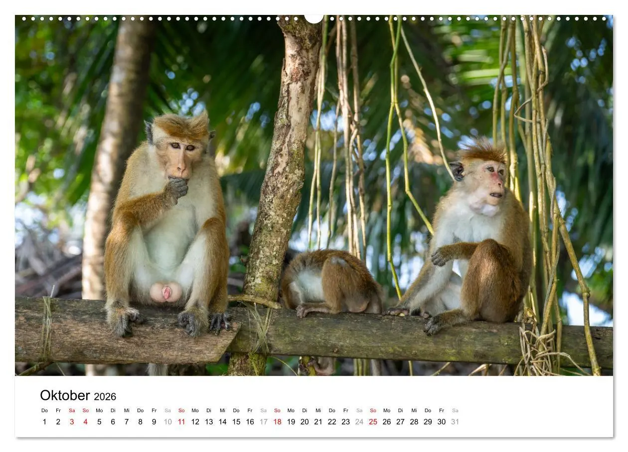 Bild: 9783457356142 | Urlaub in Sri Lanka - Reise durch Asien, Kultur und Natur...