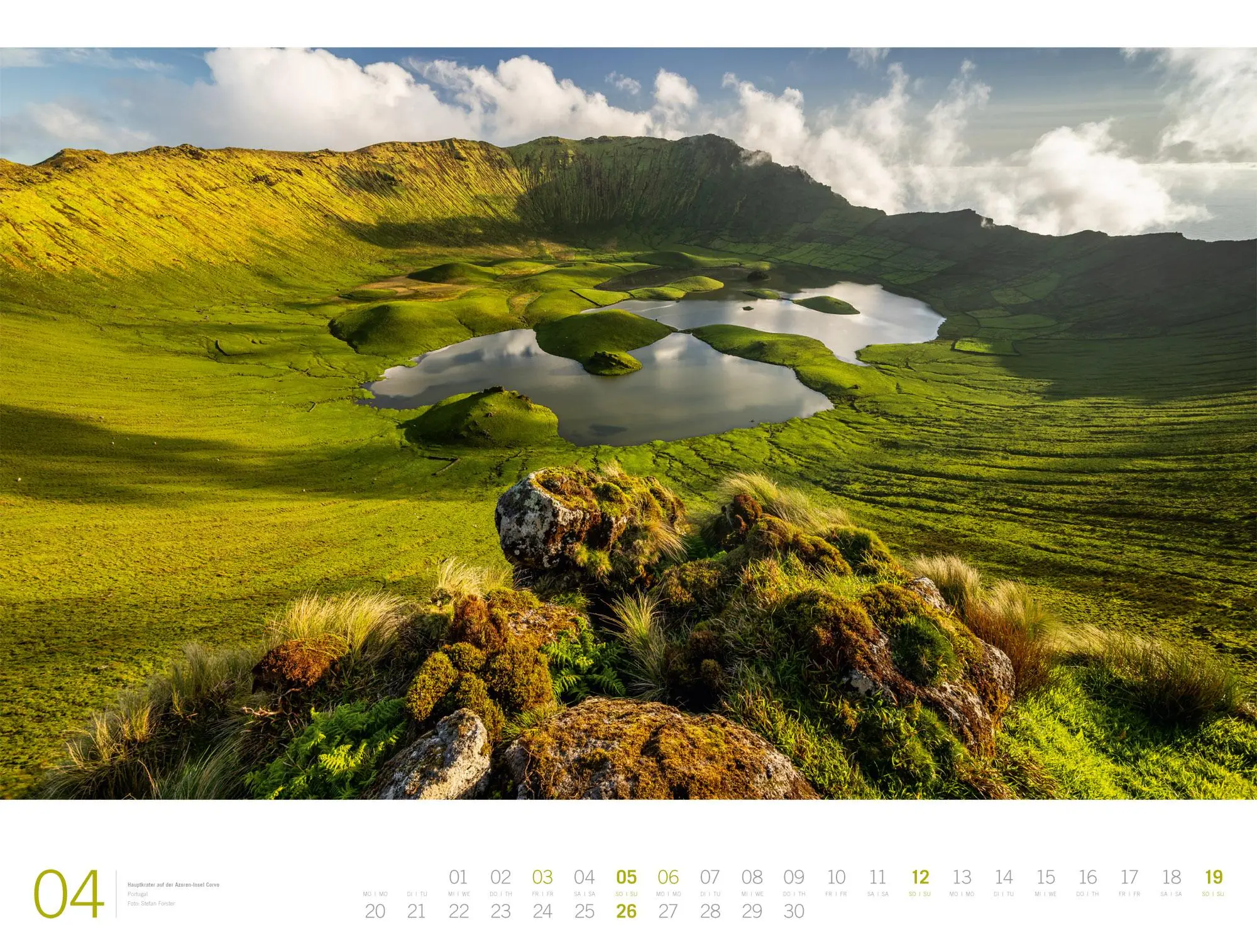Bild: 9783838436142 | Planet Earth Gallery Kalender 2026 | Ackermann Kunstverlag GmbH | 2026