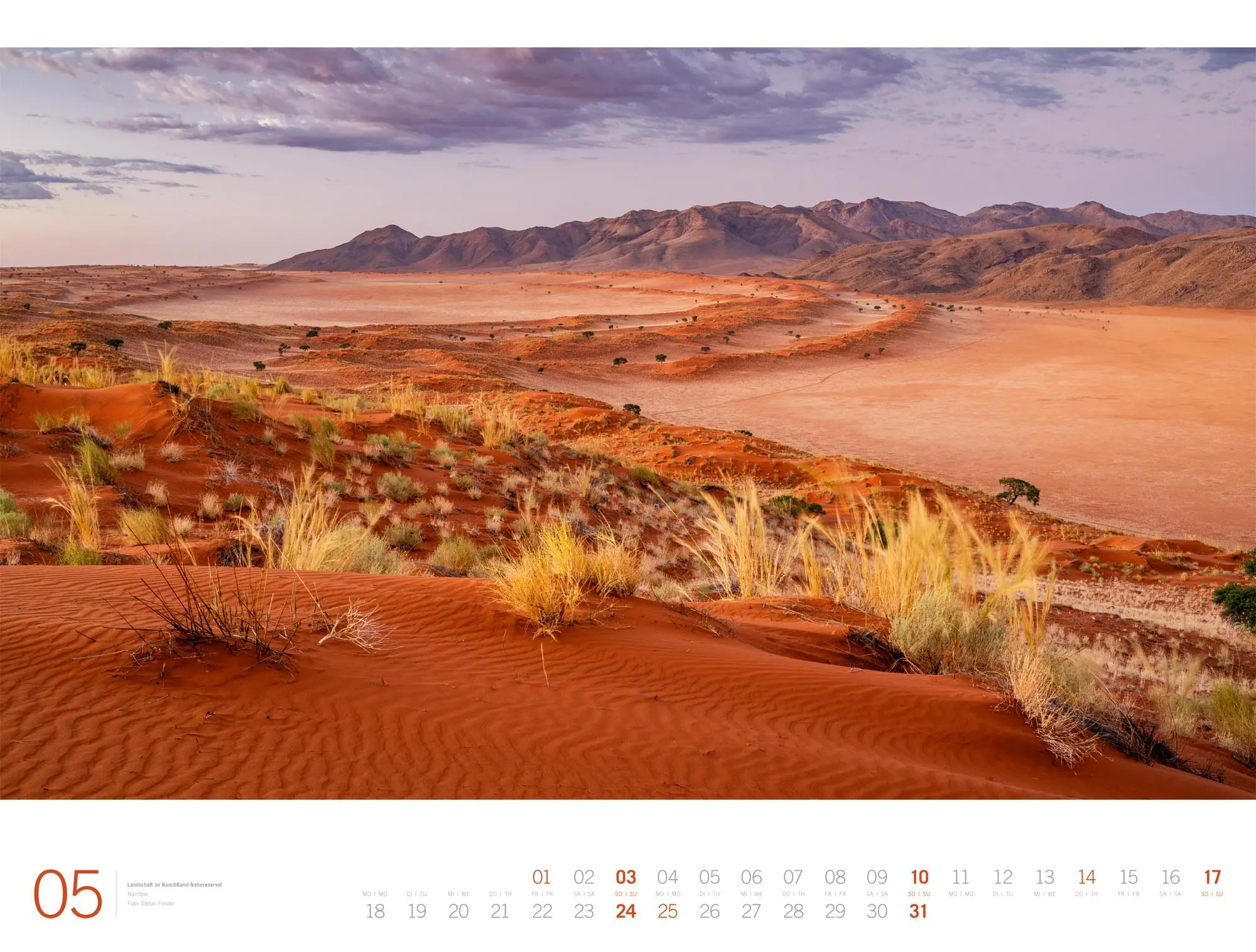 Bild: 9783838436142 | Planet Earth Gallery Kalender 2026 | Ackermann Kunstverlag GmbH | 2026
