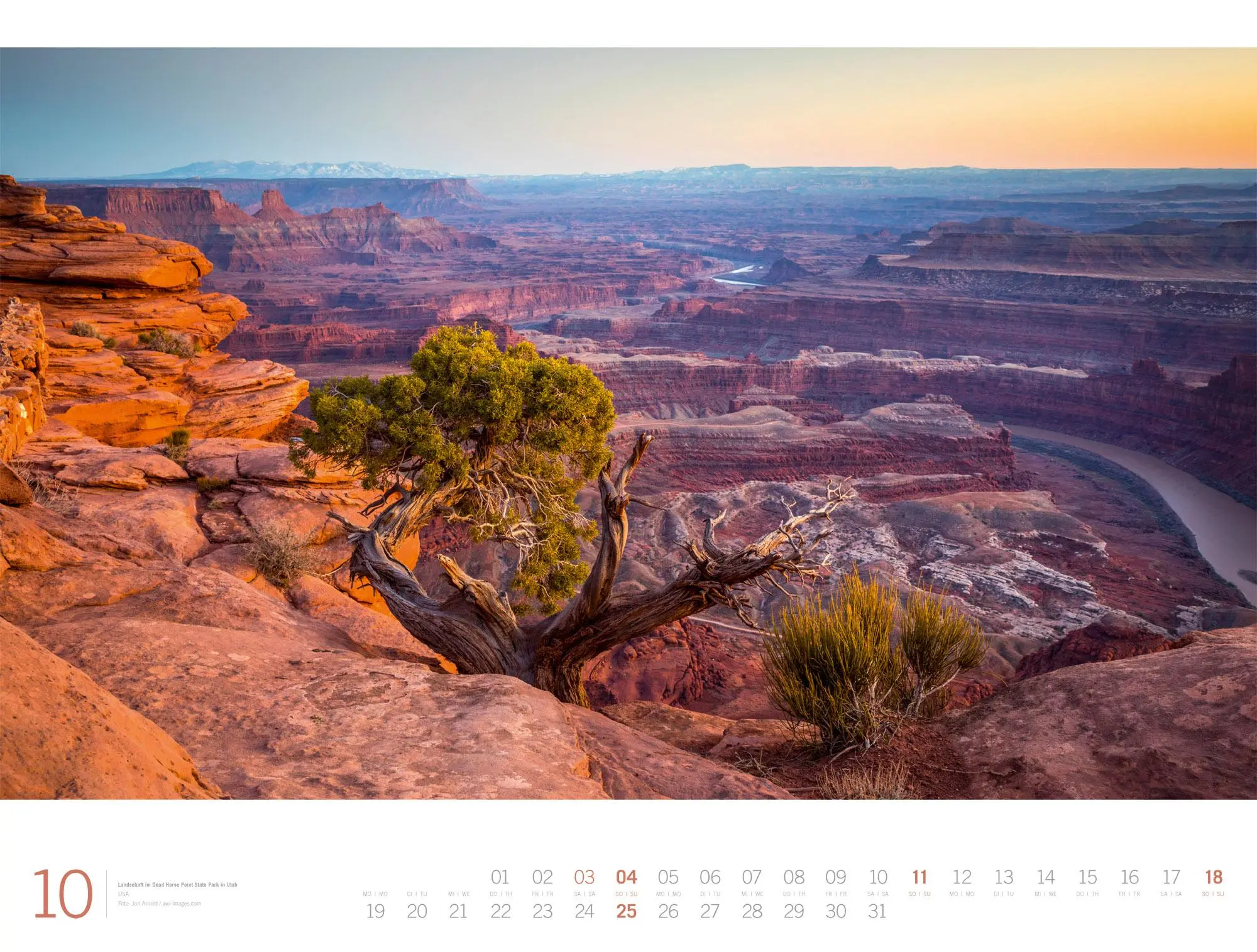 Bild: 9783838436142 | Planet Earth Gallery Kalender 2026 | Ackermann Kunstverlag GmbH | 2026