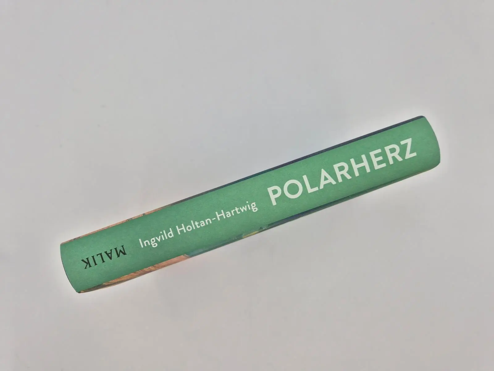 Bild: 9783890296142 | Polarherz | Ingvild Holtan-Hartwig | Buch | 240 S. | Deutsch | 2026