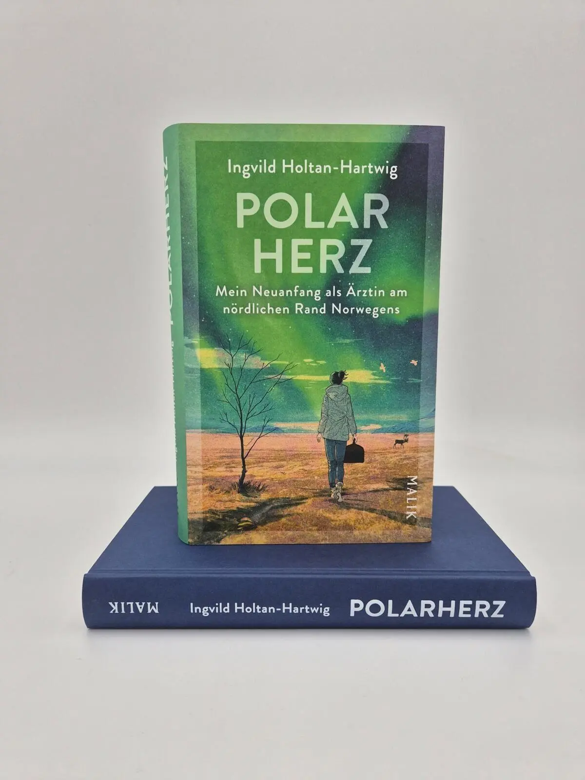 Bild: 9783890296142 | Polarherz | Ingvild Holtan-Hartwig | Buch | 240 S. | Deutsch | 2026